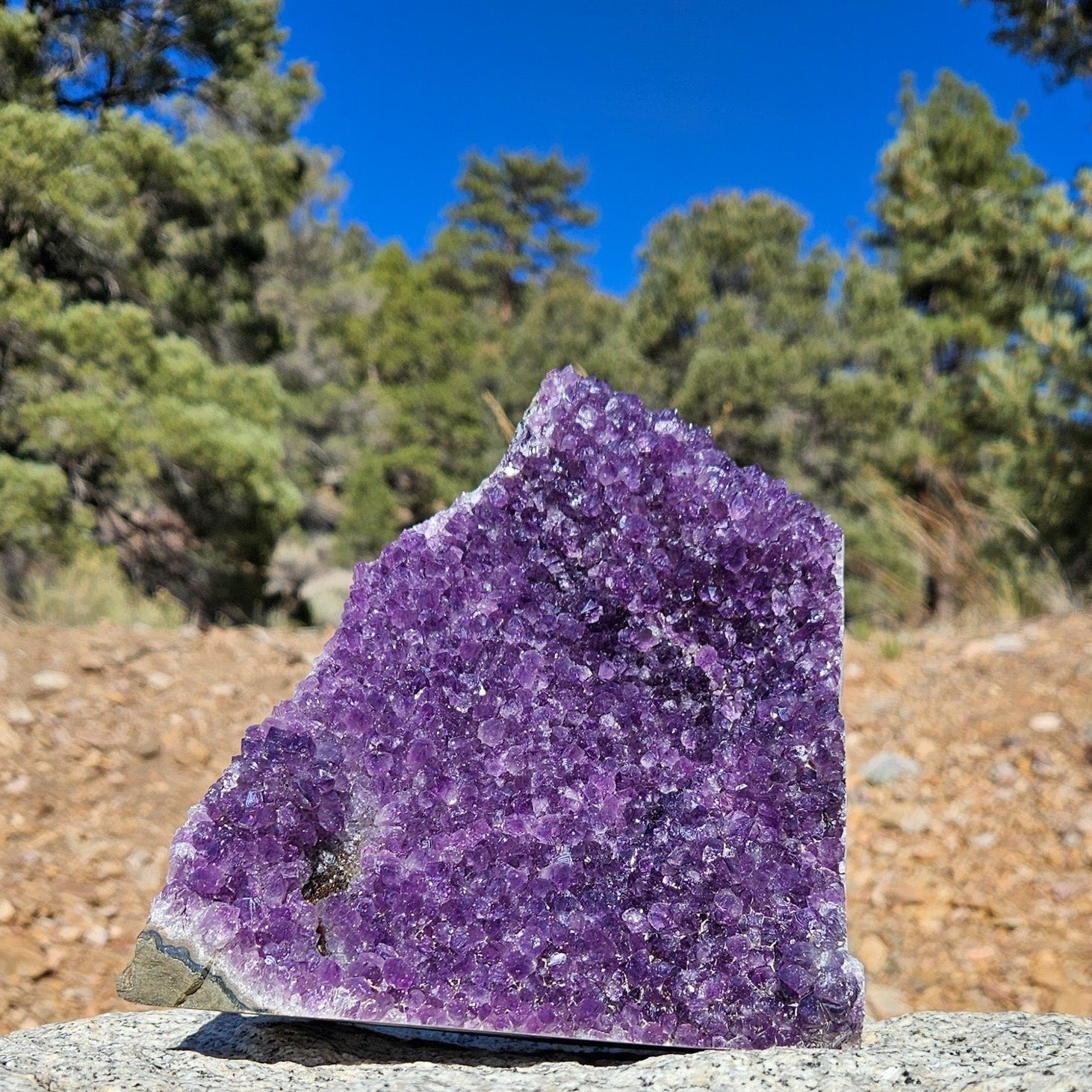 Crystals, Geodes, And Fossils
