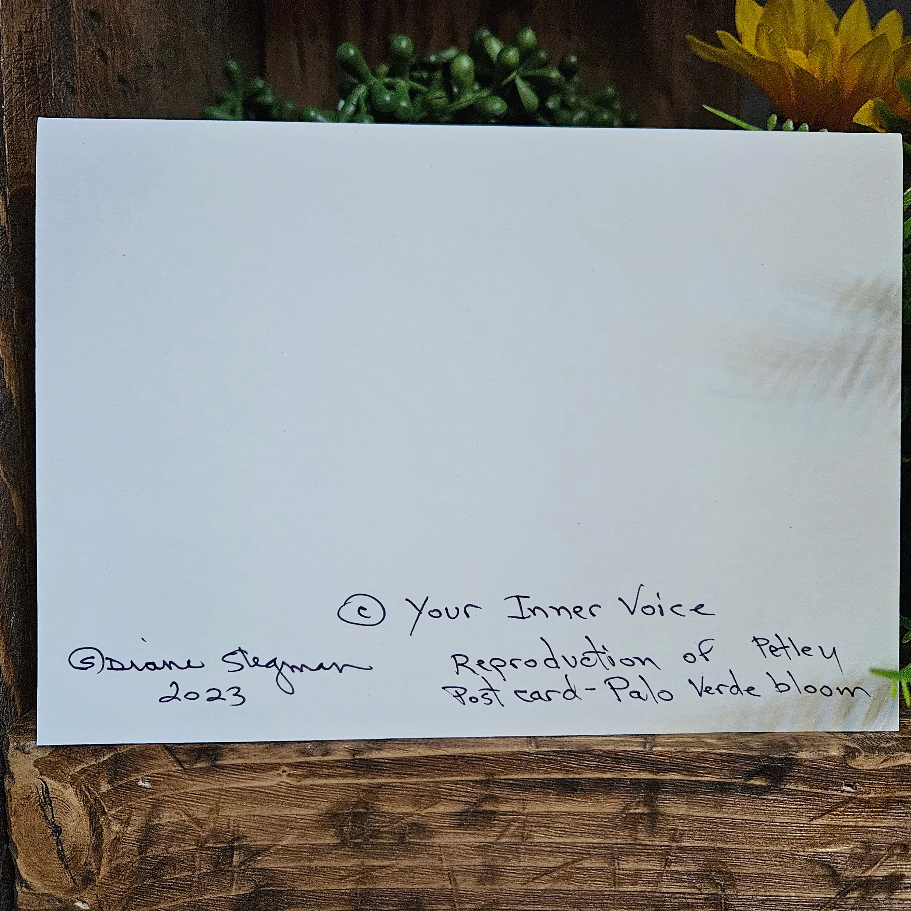 Beautifully Hand Crafted Custom Created Greeting Card Series by Diane Stegman "Palo Verde Bloom"