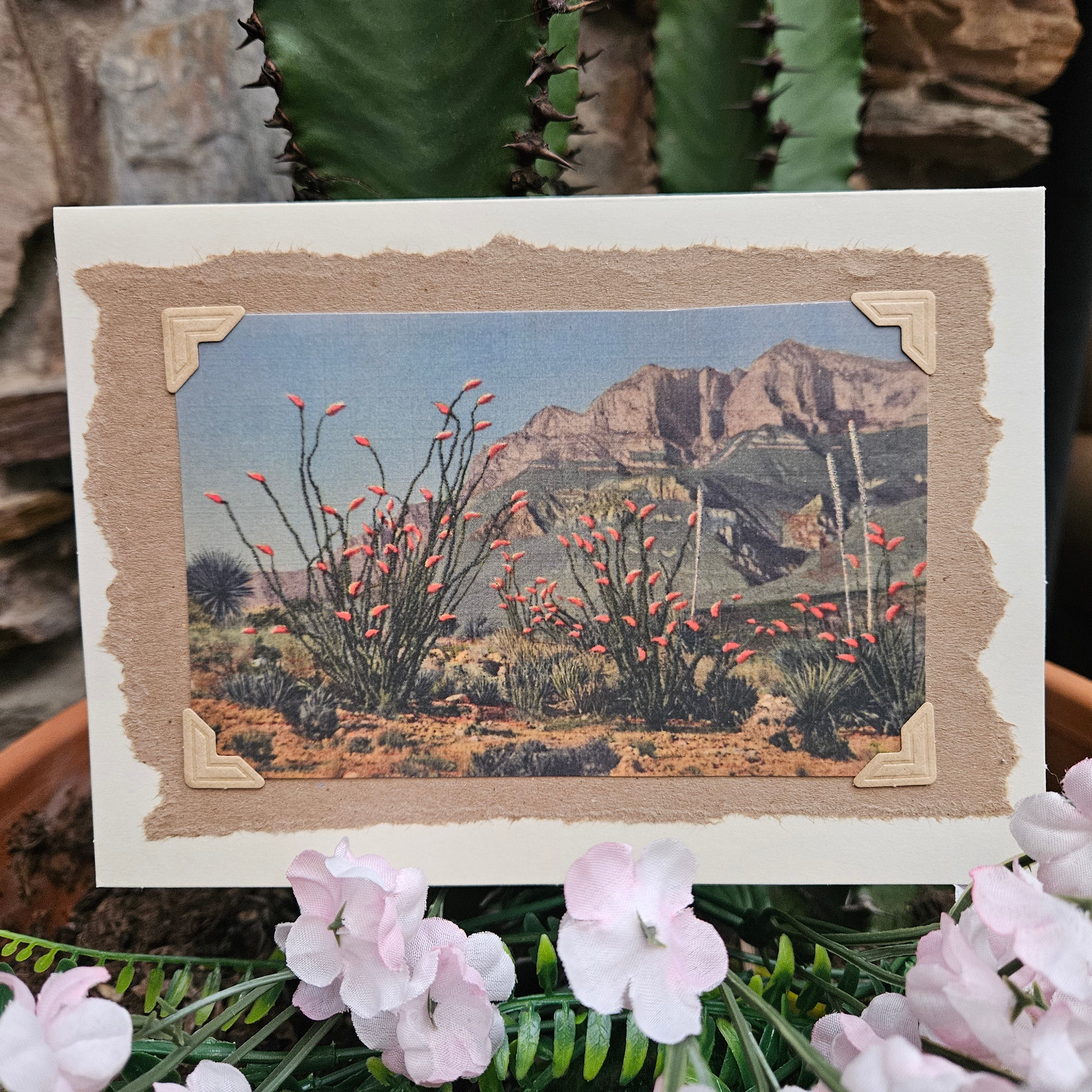 Beautifully Hand Crafted Custom Created Greeting Card Series by Diane Stegman "Ocotillo Cactus in Bloom"
