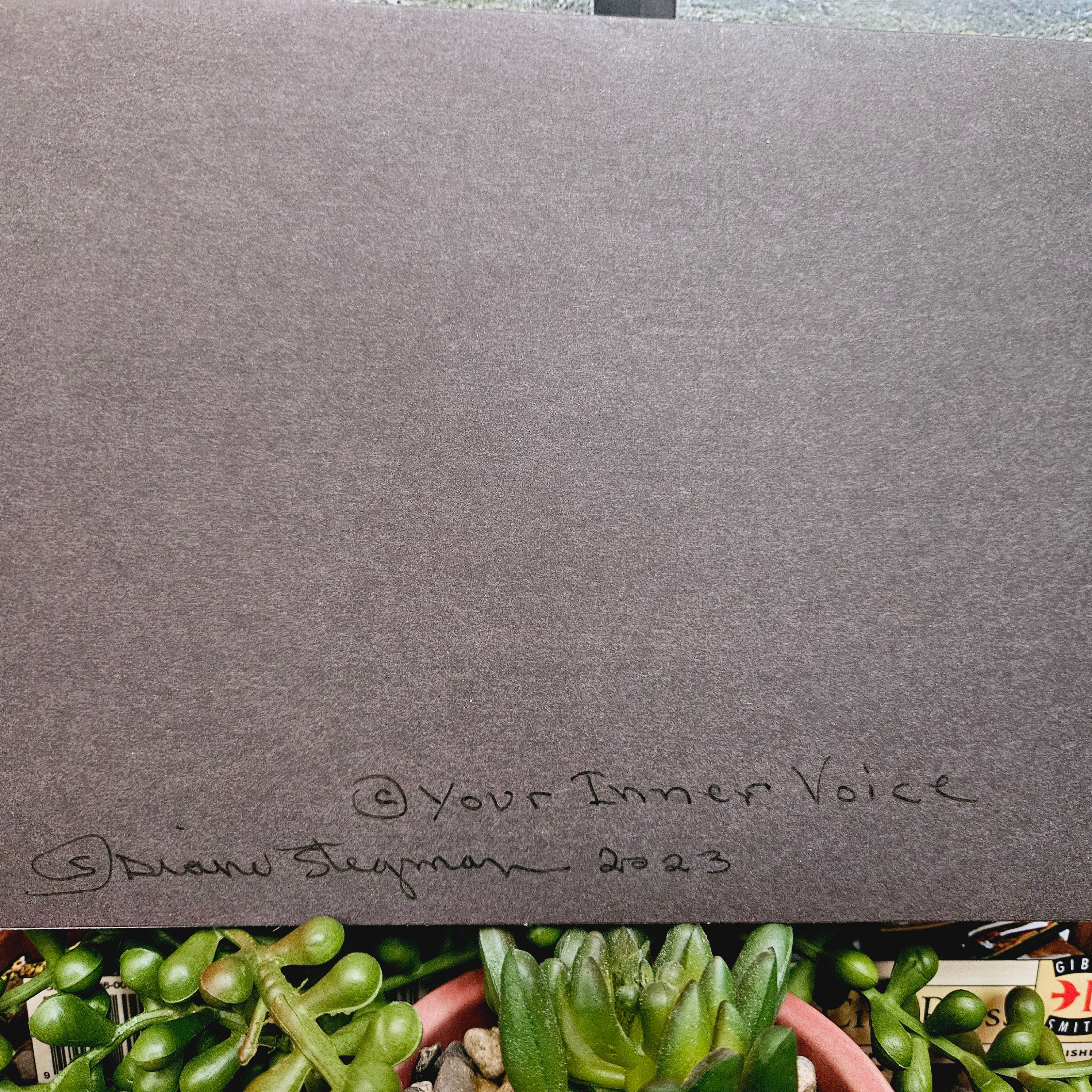 Beautifully Hand Crafted Custom Created Greeting Card Series by Diane Stegman "3 Aces Cactus"