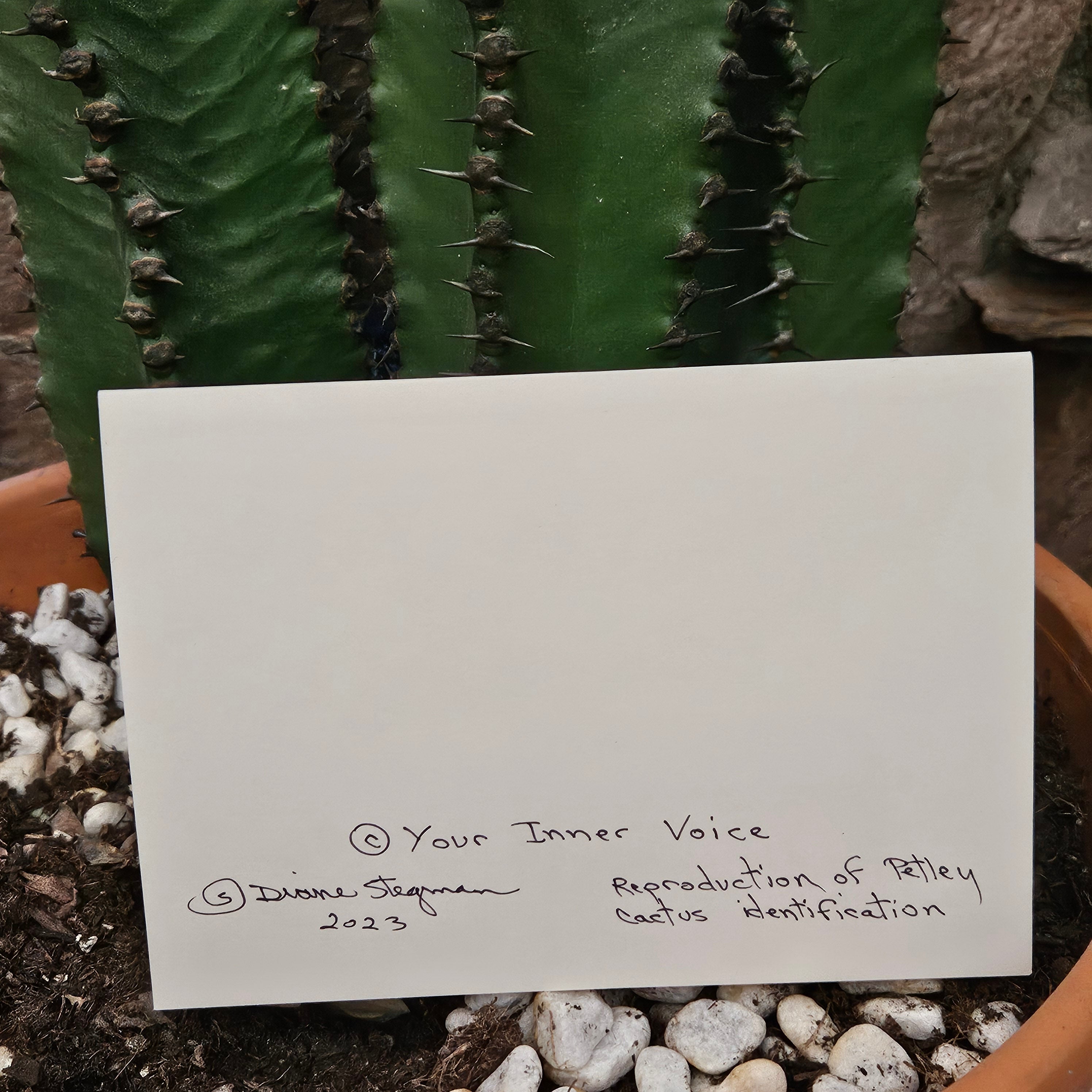 Beautifully Hand Crafted Custom Created Greeting Card Series by Diane Stegman "Cactus Identification"