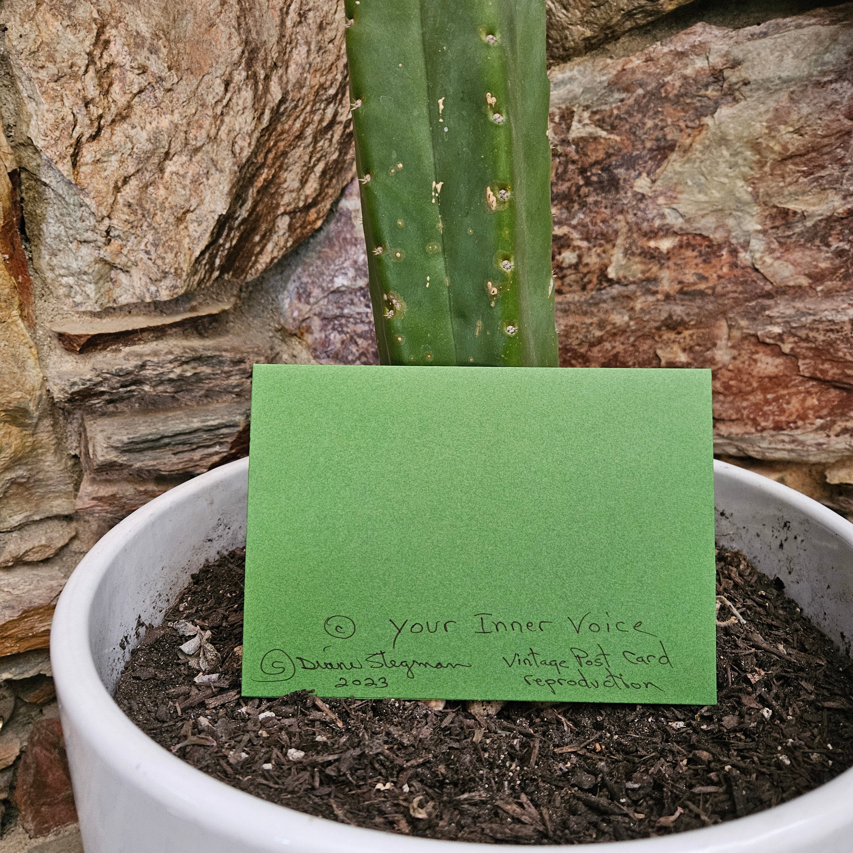 Beautifully Hand Crafted Custom Created Greeting Card Series by Diane Stegman "Cactus Garden in Southern California"