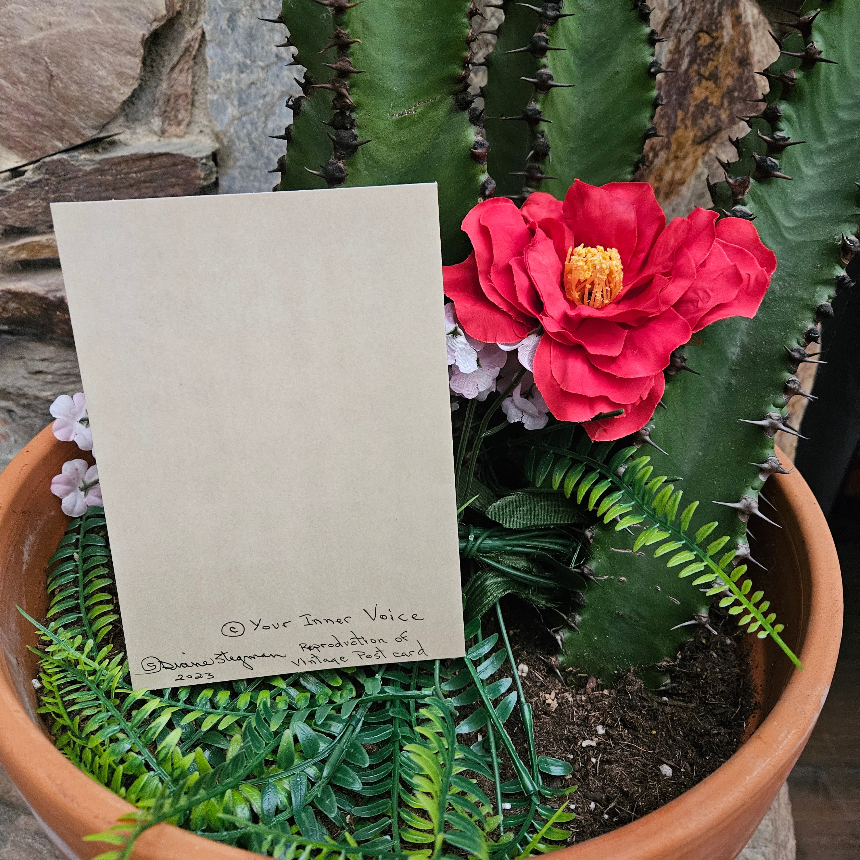 Beautifully Hand Crafted Custom Created Greeting Card Series by Diane Stegman "Flowering White Sands Cactus"