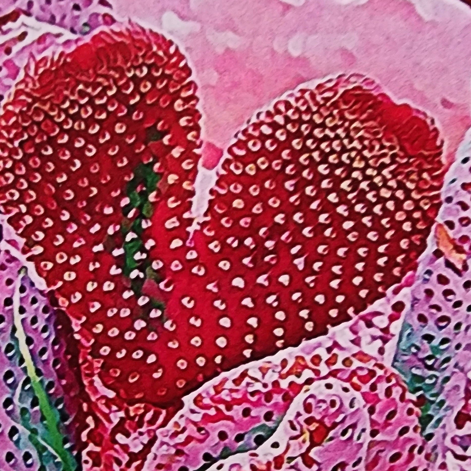 Beautifully Hand Crafted Custom Created Greeting Card Series by Diane Stegman "Heart Shaped Cactus"