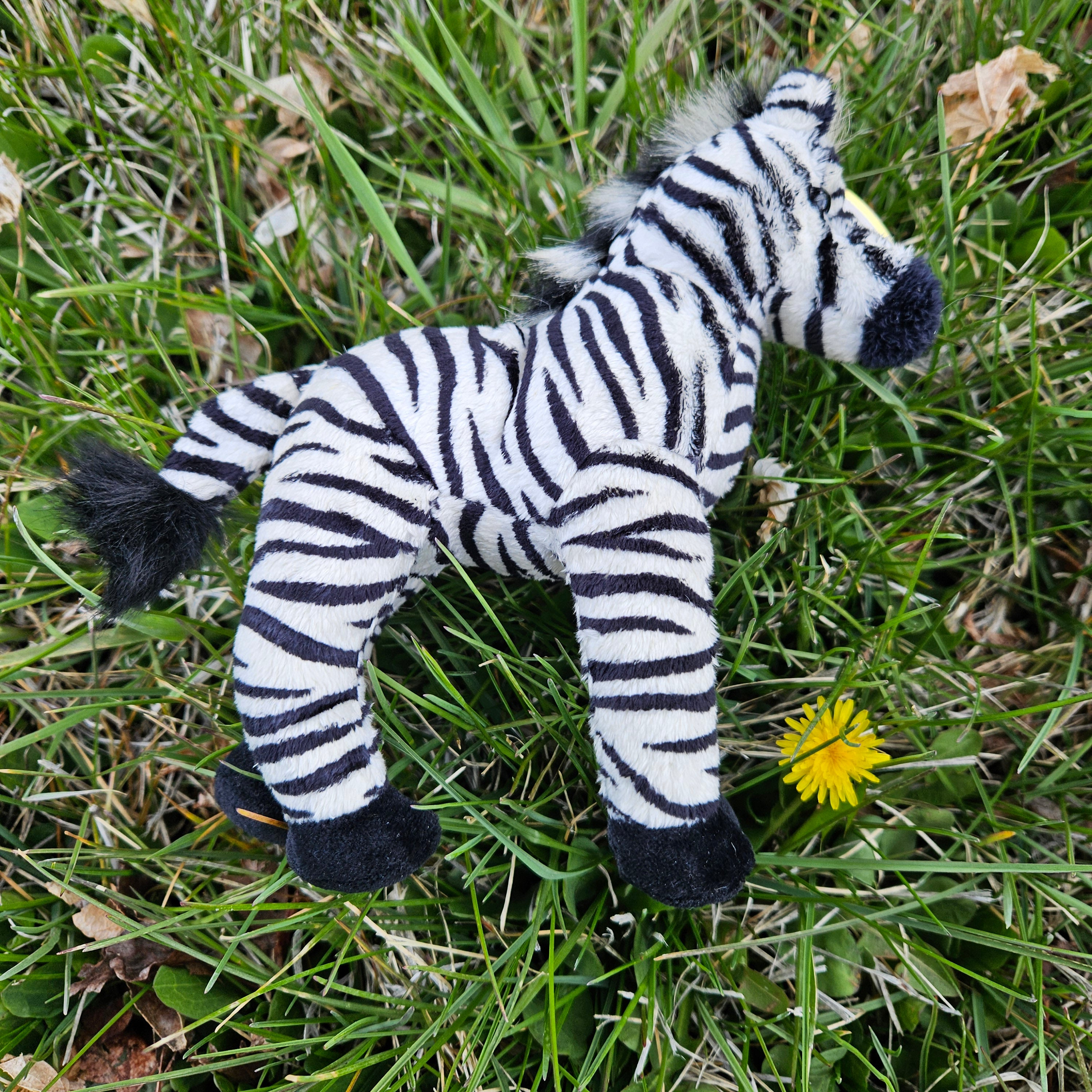 Ty Beanie Babies "Dizz the Zebra"