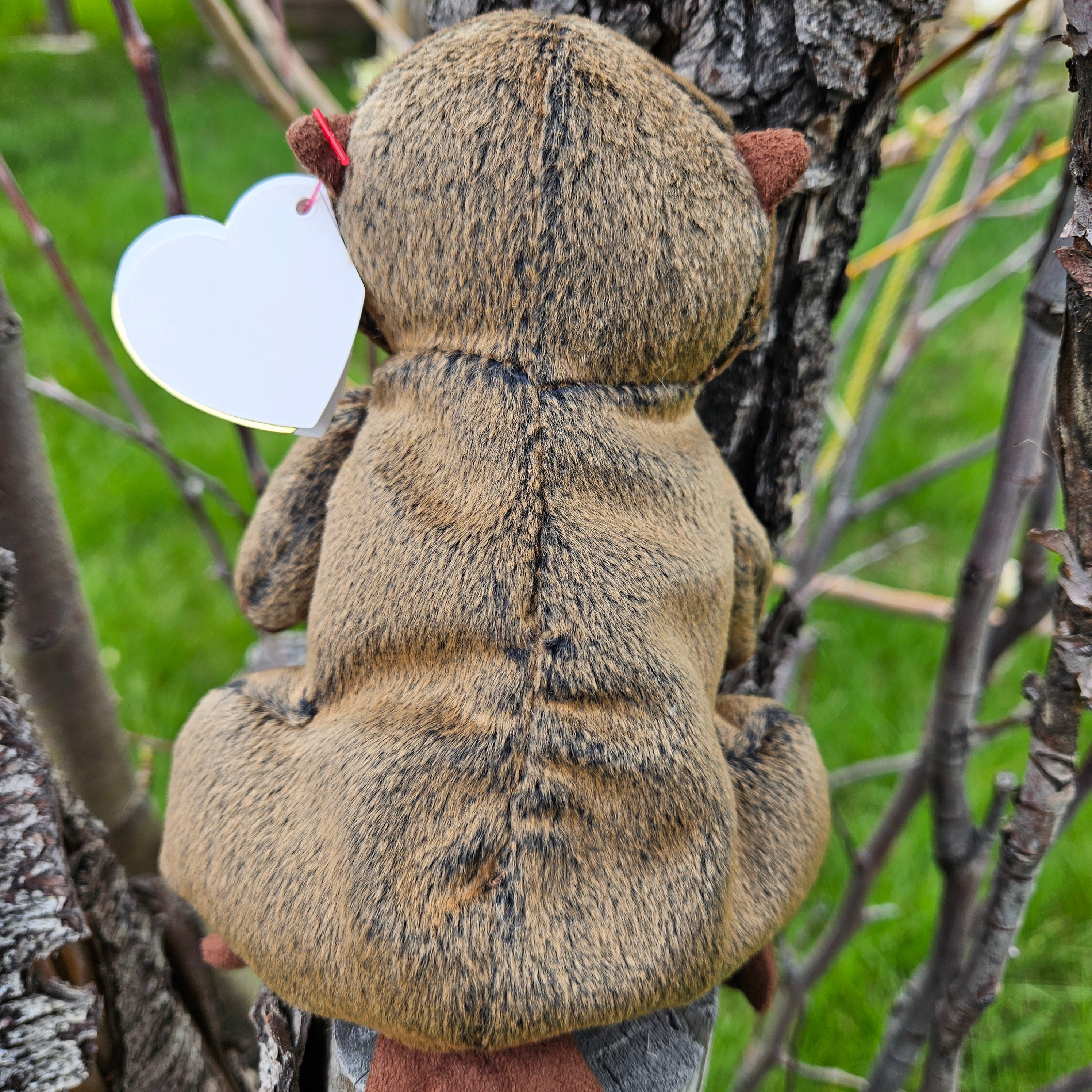 Ty Beanie Babies "Timbers the Beaver"