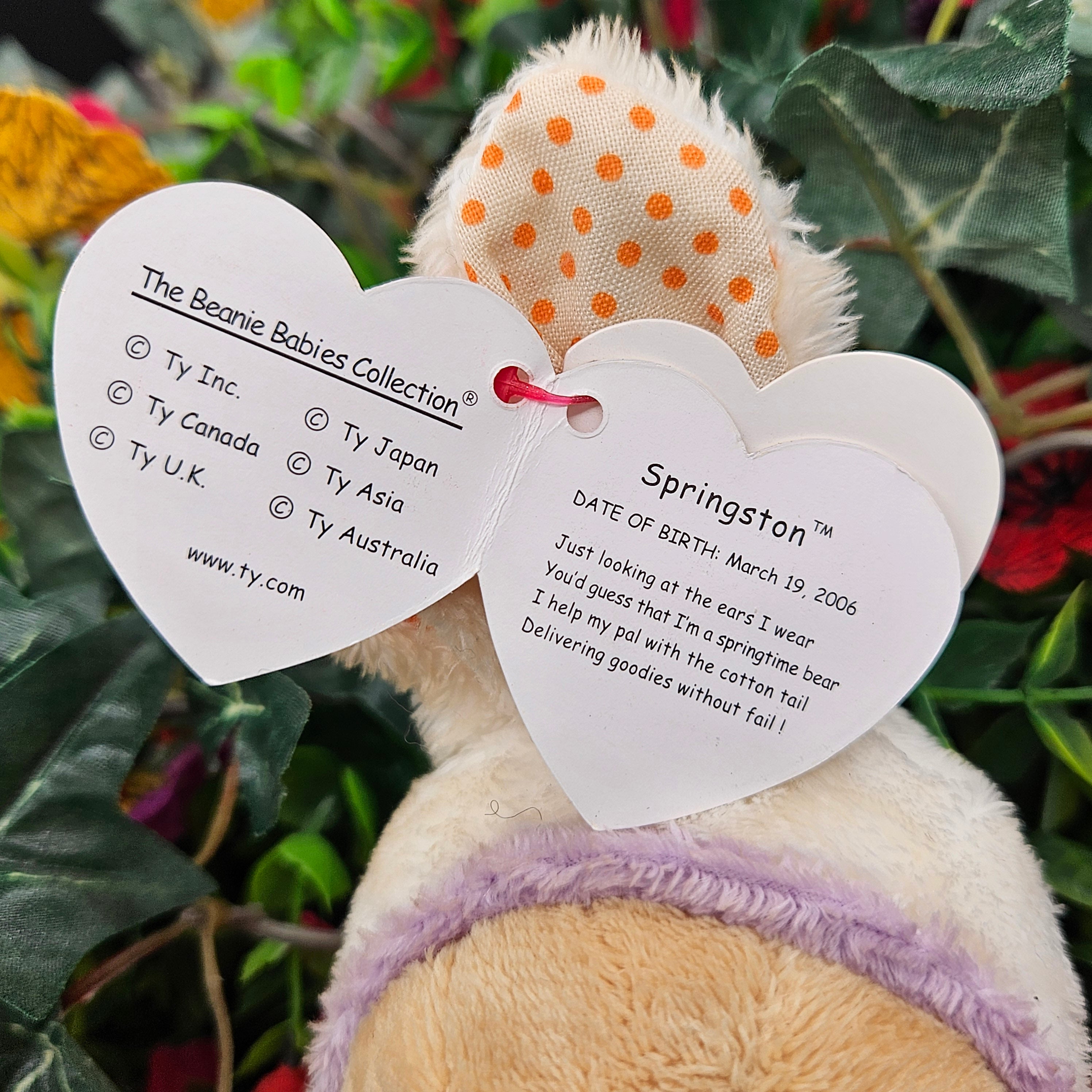Ty Beanie Babies "Springston the Bunny Eared Bear"