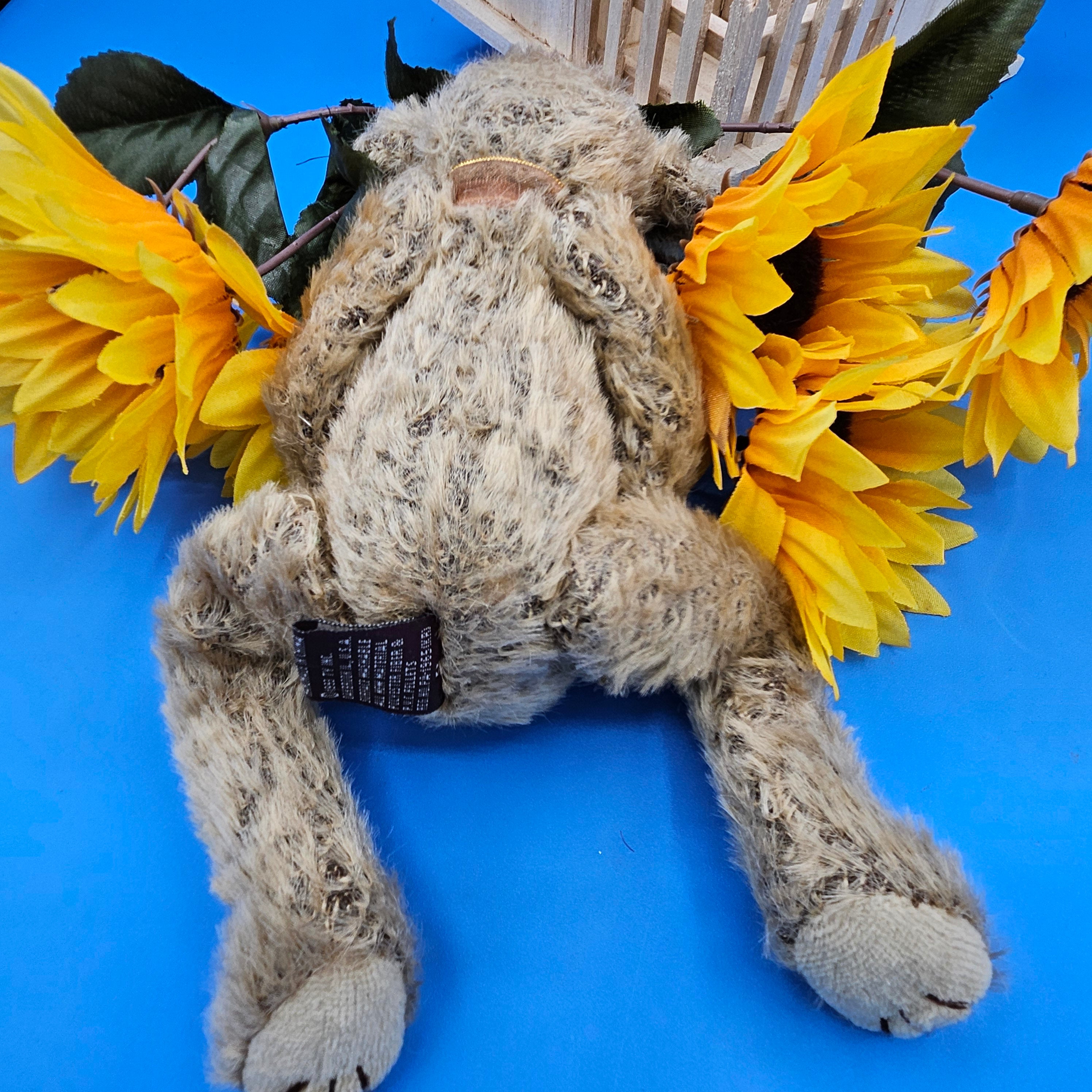 Ty Beanie Babies Birch the Bear "Growing Old Gracefully"