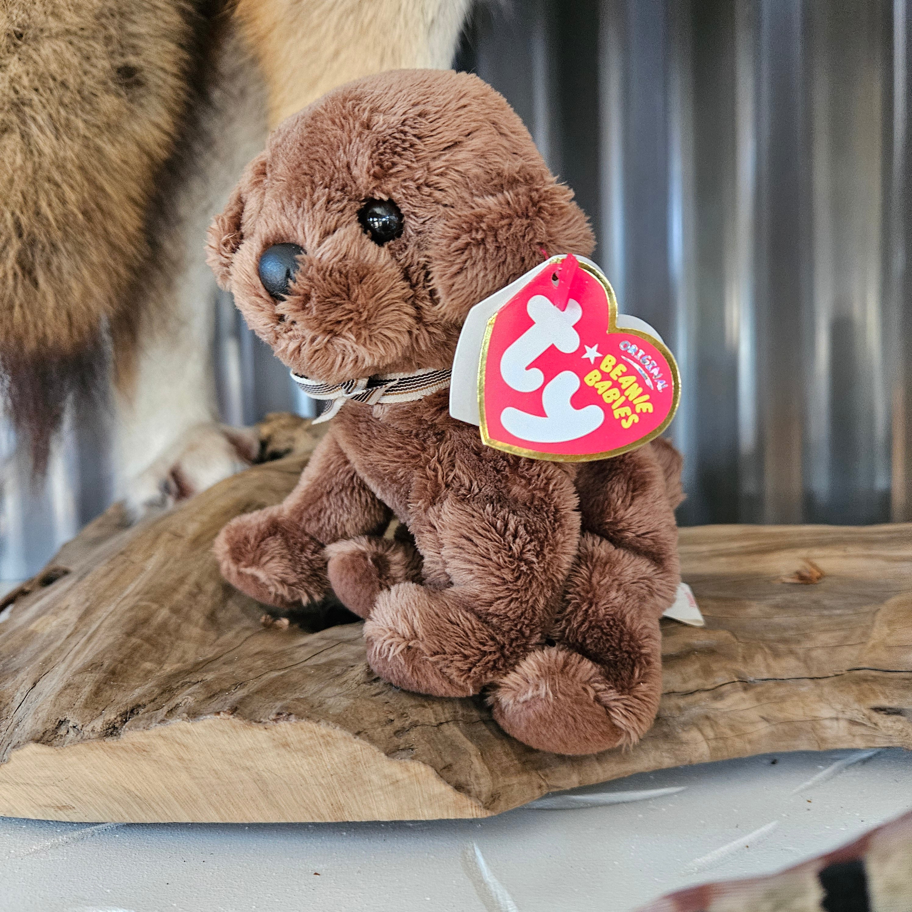 Ty Beanie Babies "Diggidy the Dog"