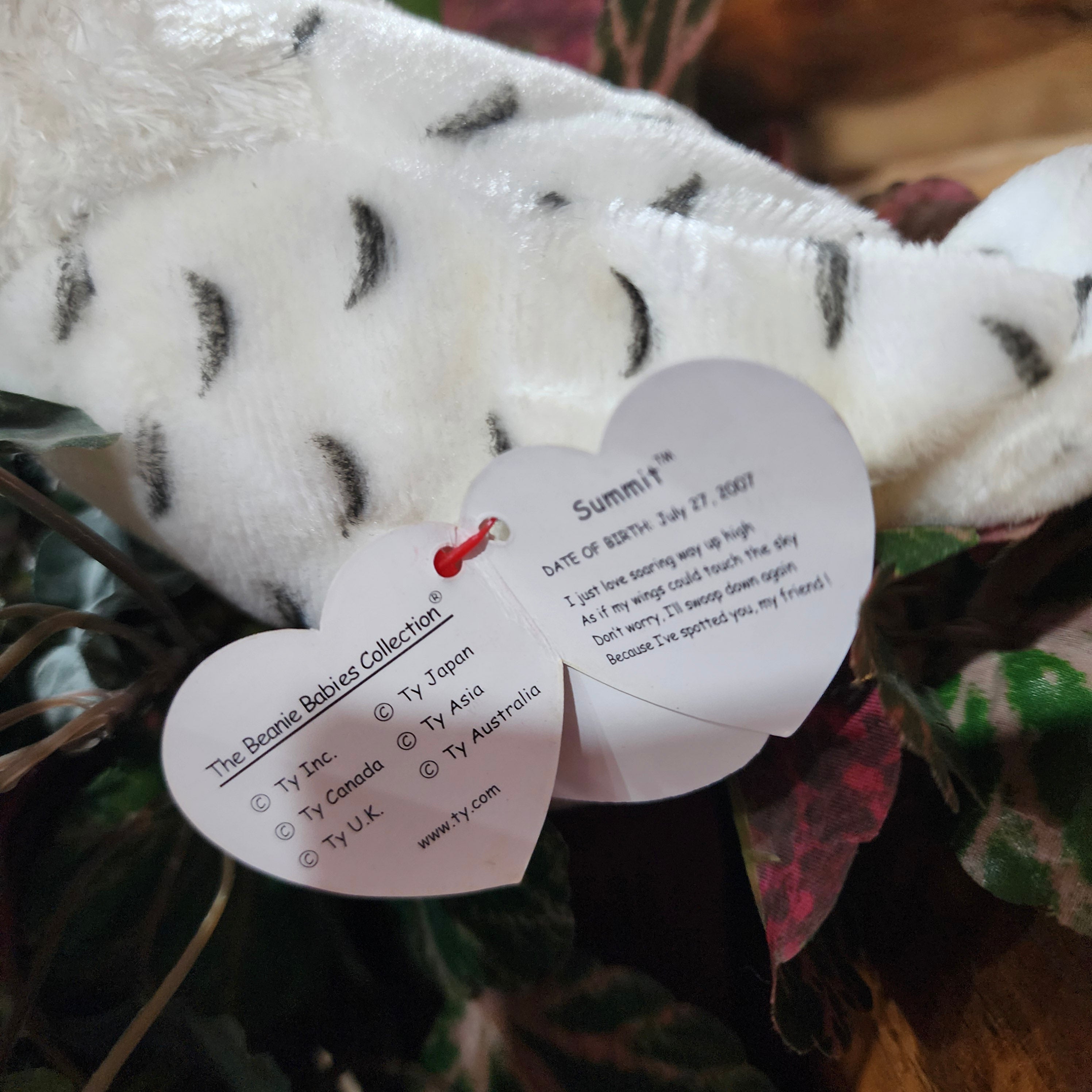Ty Beanie Babies "Summit the Owl"