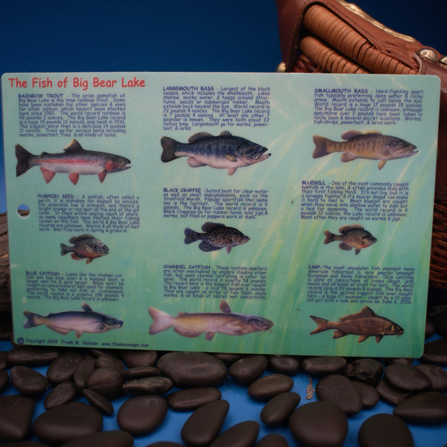Big Bear Lake California Map & Fish Guide