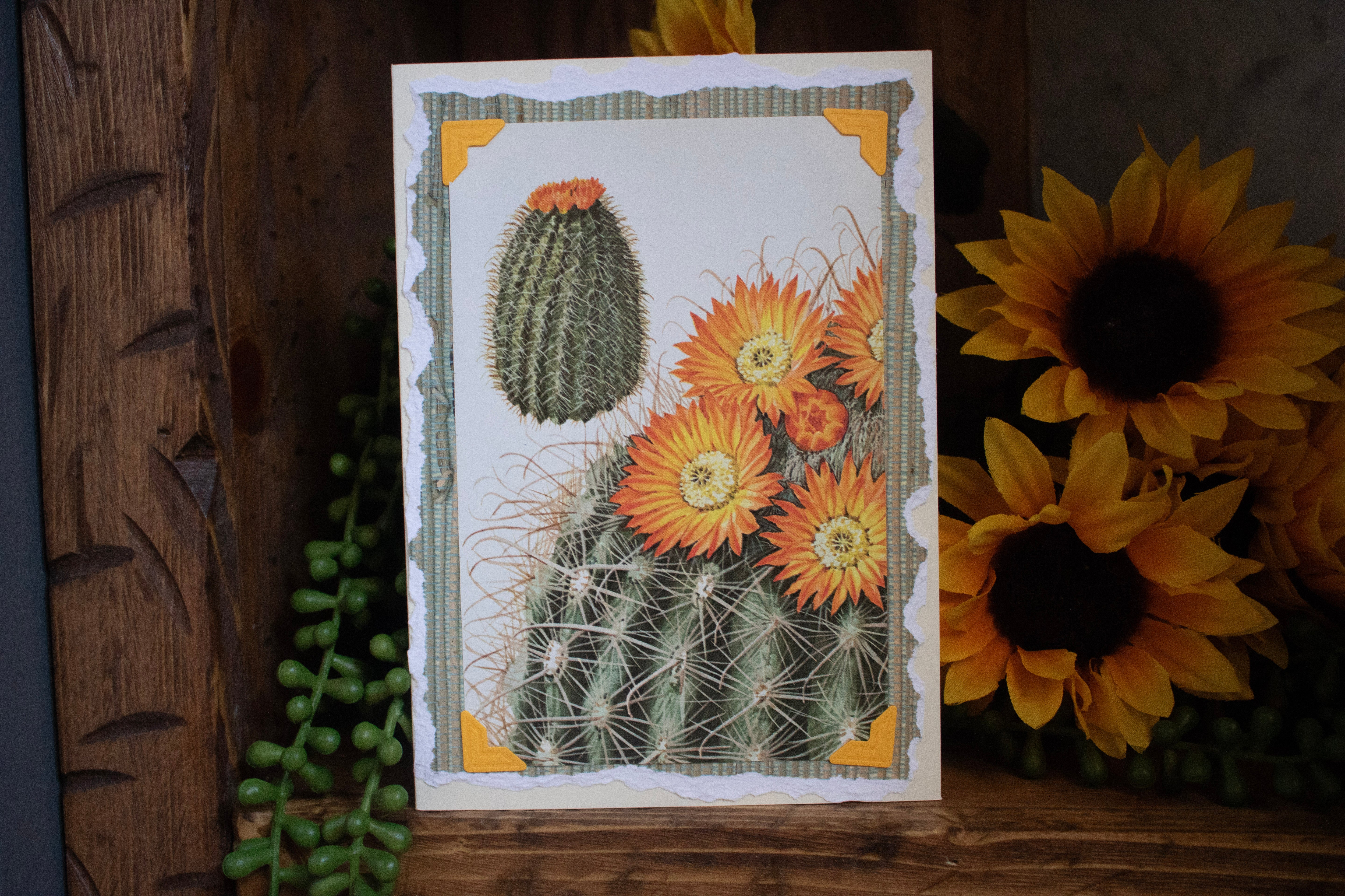 Beautifully Hand Crafted Custom Created Greeting Card Series by Diane Stegman "Barrel Cacti"