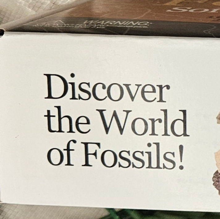 Dancing Bear Fossil Sorting Activity Kit