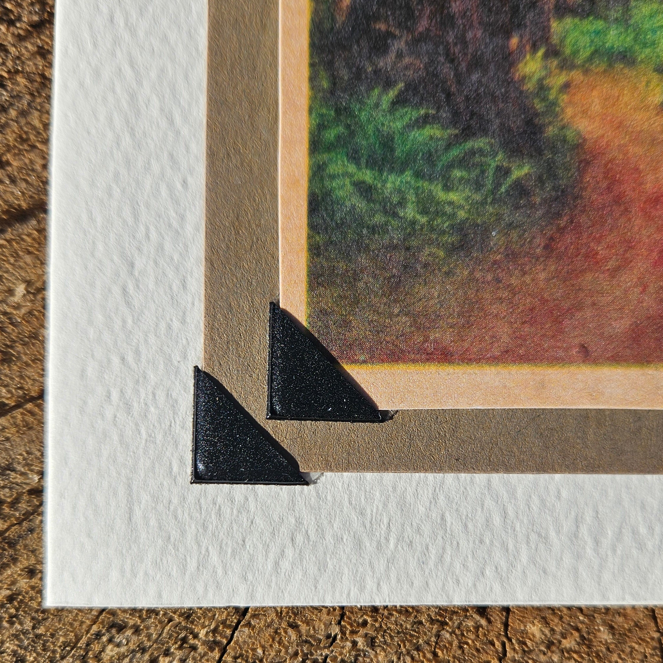 Beautifully Hand Crafted Custom Created Greeting Card Series by Diane Stegman "Redwood Highway, California"