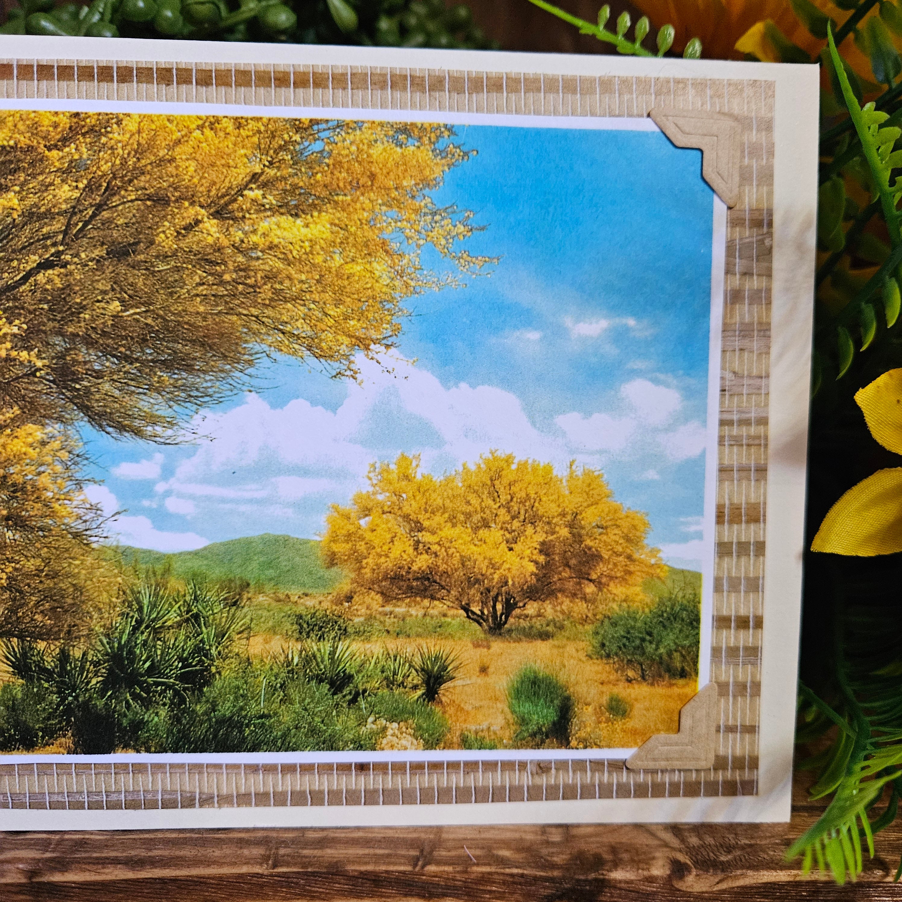 Beautifully Hand Crafted Custom Created Greeting Card Series by Diane Stegman "Palo Verde Bloom"