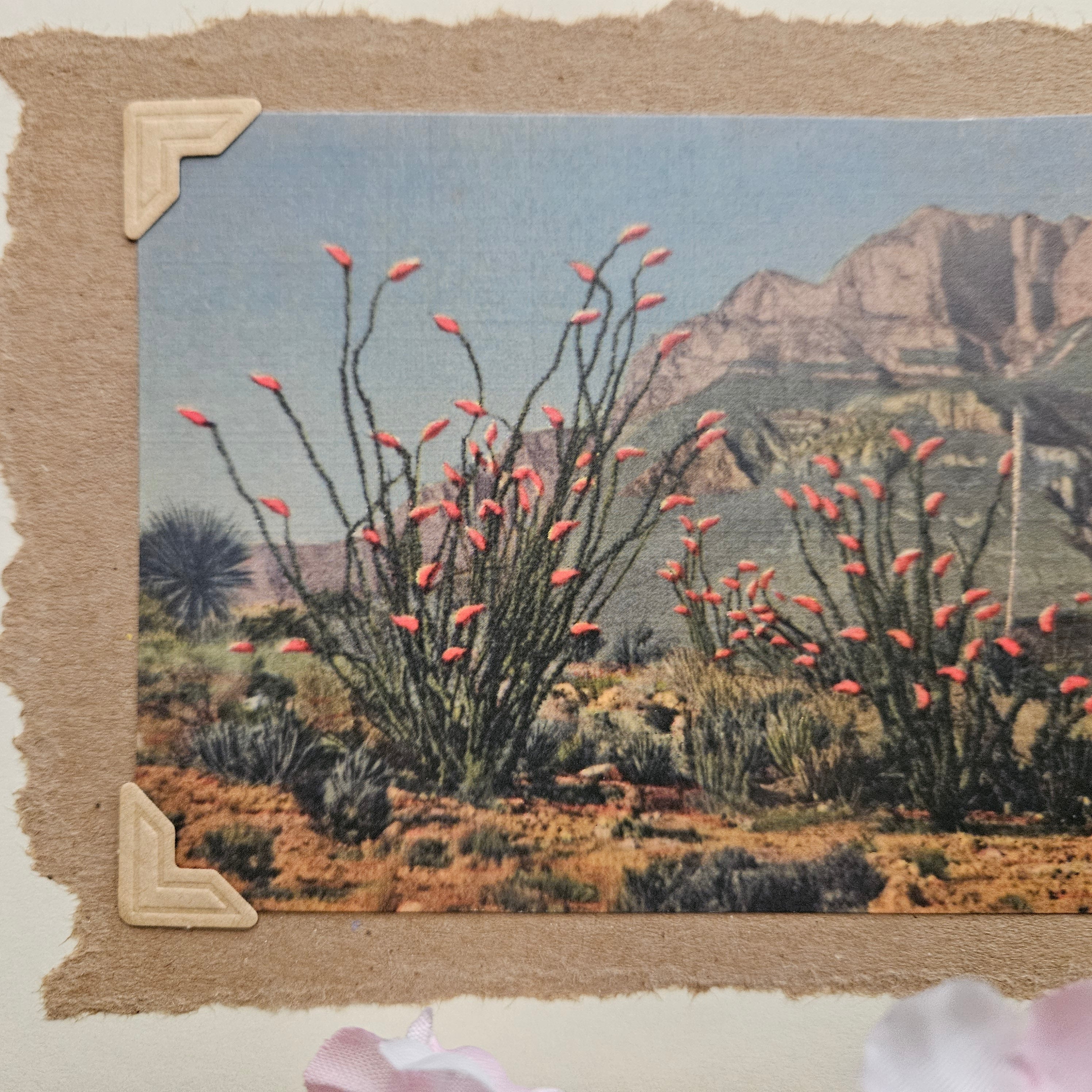 Beautifully Hand Crafted Custom Created Greeting Card Series by Diane Stegman "Ocotillo Cactus in Bloom"