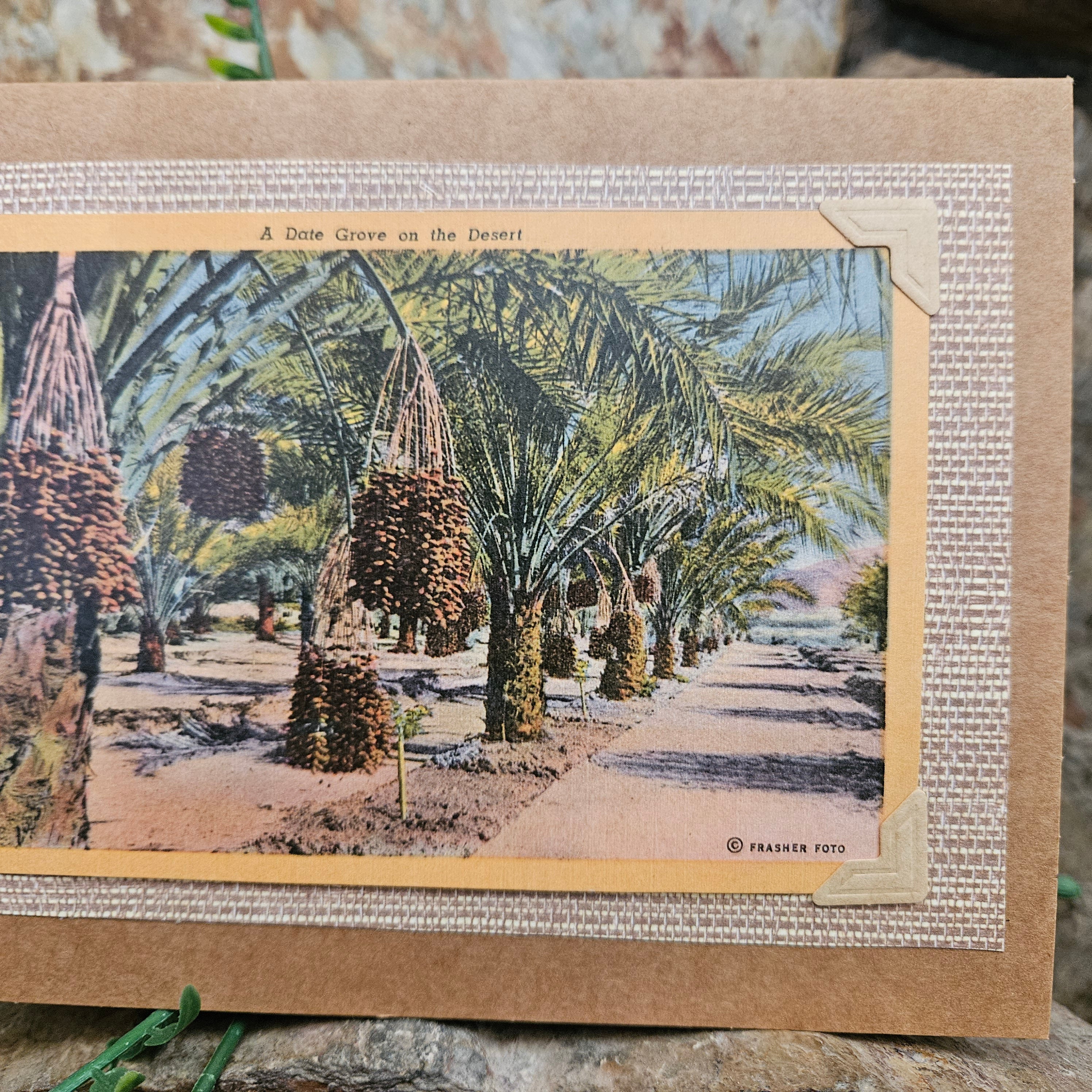 Beautifully Hand Crafted Custom Created Greeting Card Series by Diane Stegman "A Date Grove in the Desert "