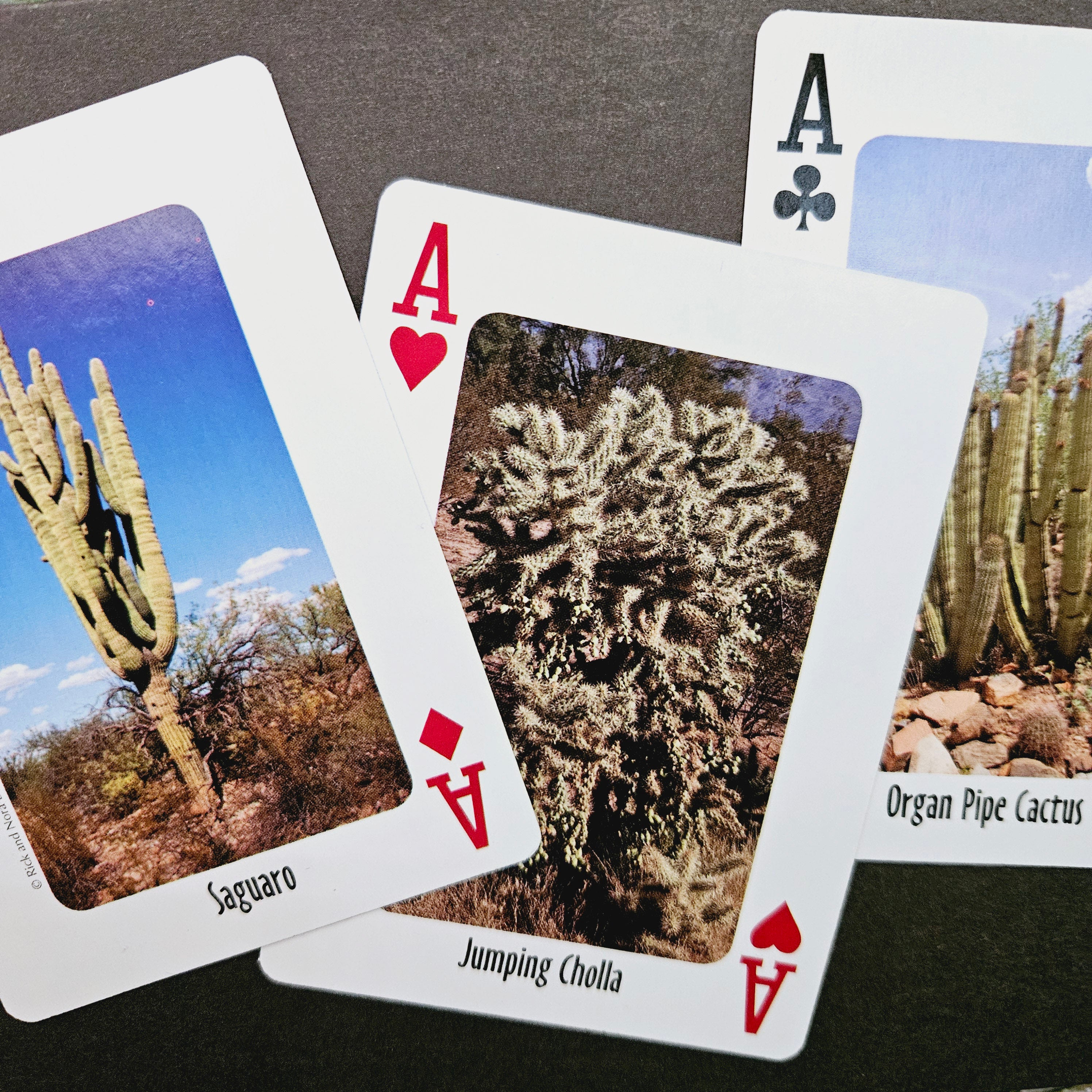 Beautifully Hand Crafted Custom Created Greeting Card Series by Diane Stegman "3 Aces Cactus"
