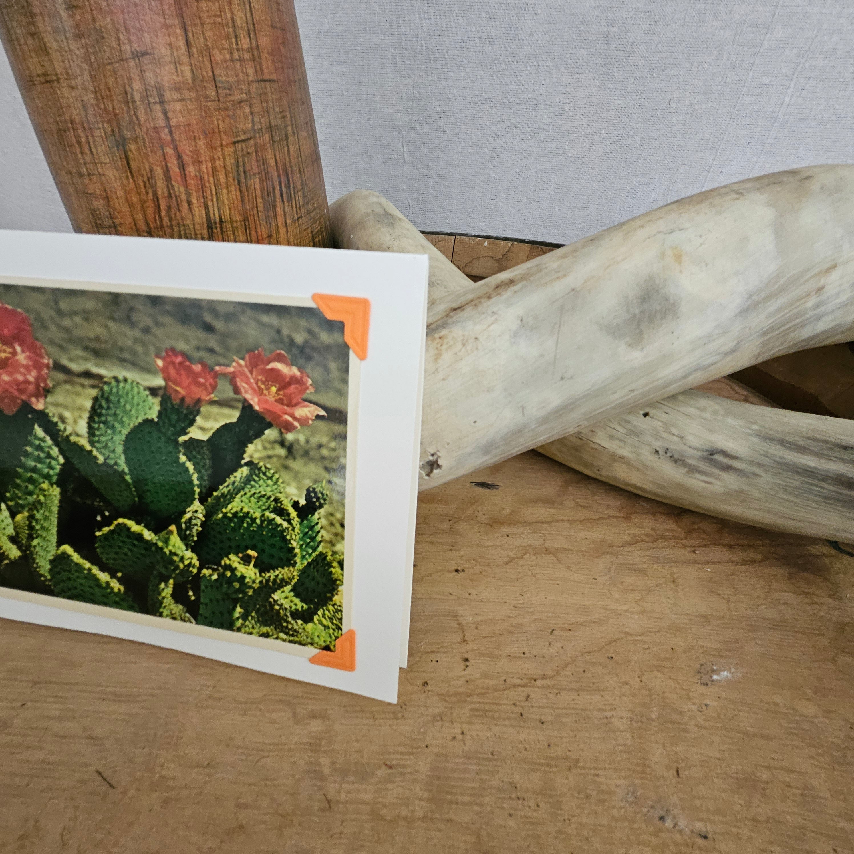 Beautifully Hand Crafted Custom Created Greeting Card Series by Diane Stegman "Beavertail Cactus in Bloom"