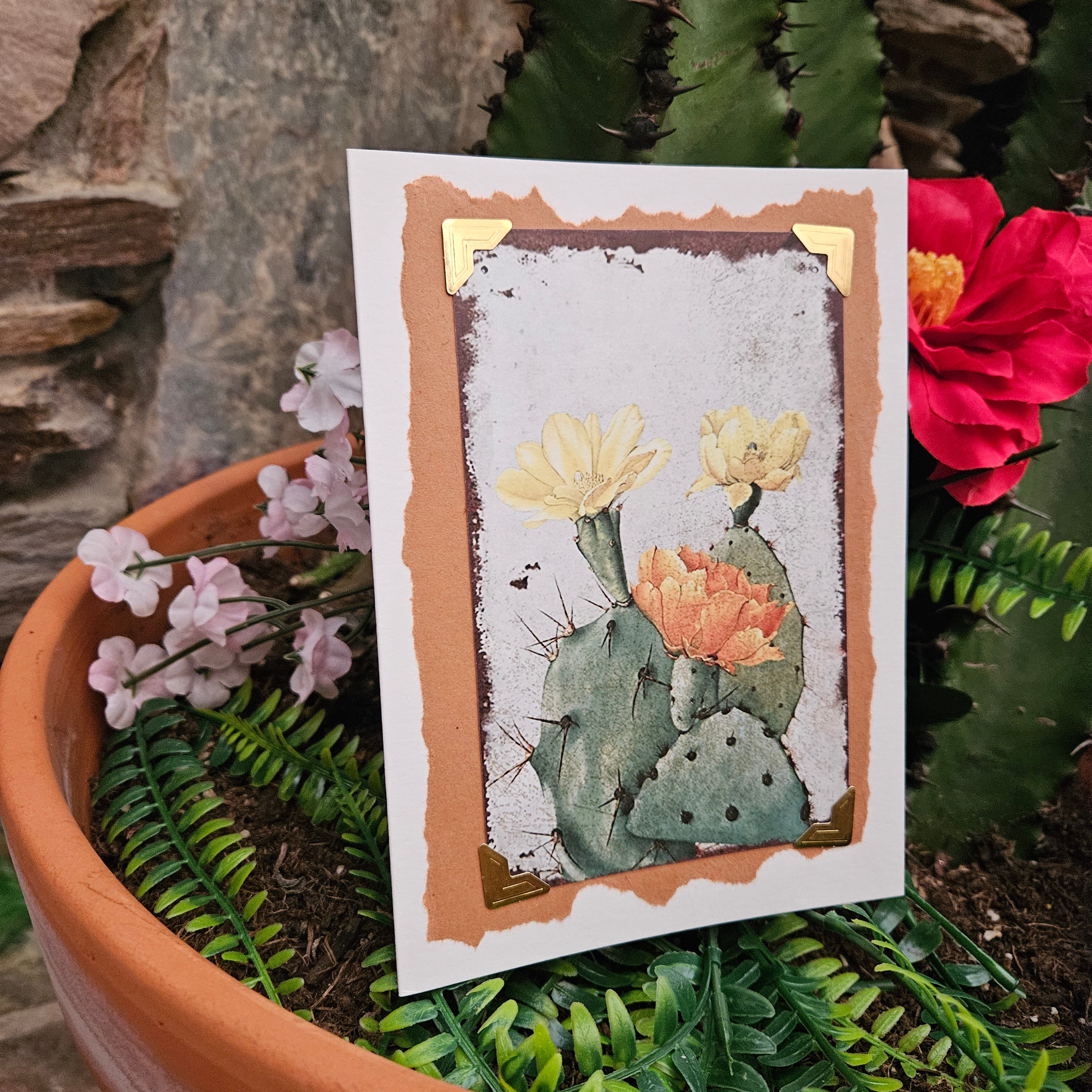 Beautifully Hand Crafted Custom Created Greeting Card Series by Diane Stegman "Prickly Pear Cactus"