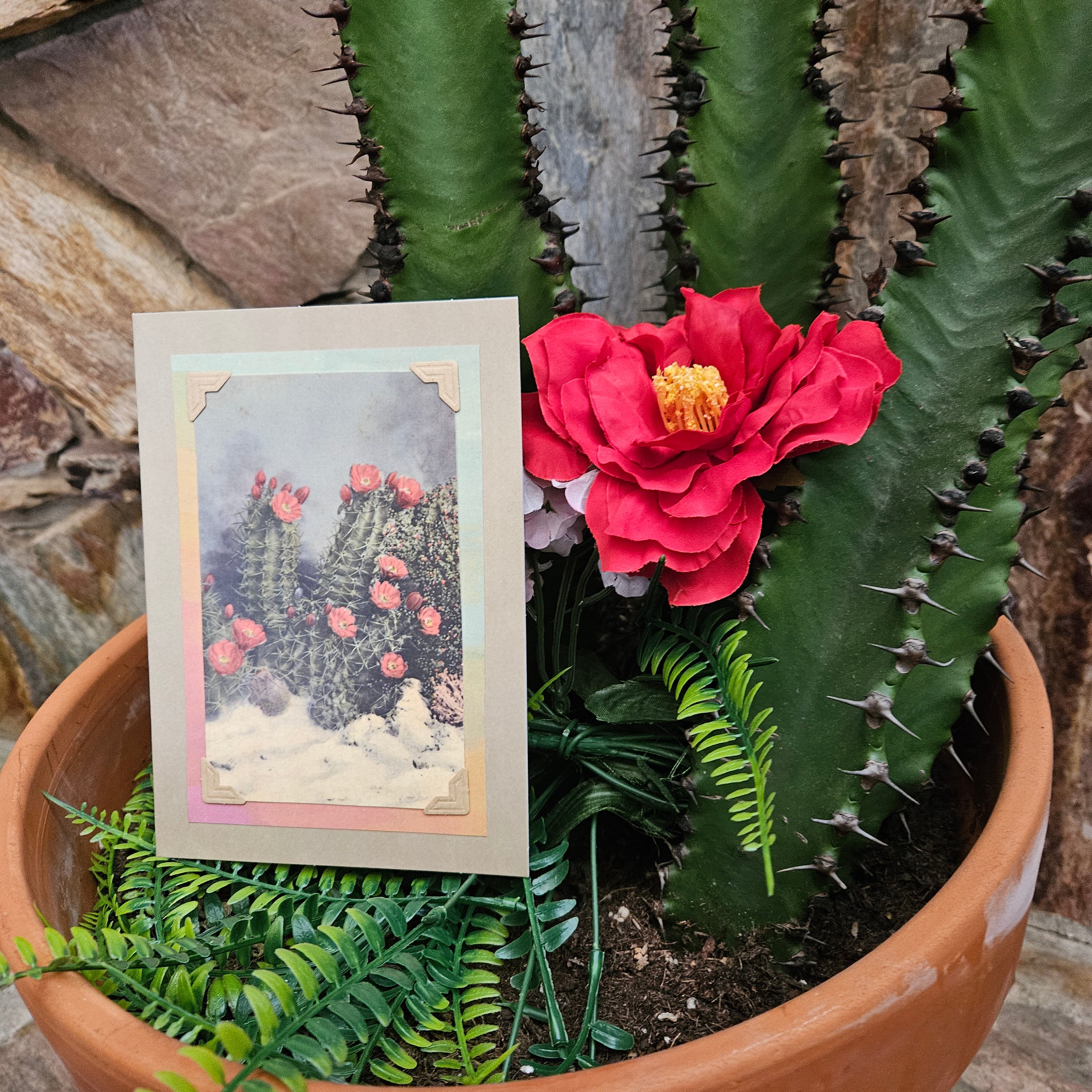 Beautifully Hand Crafted Custom Created Greeting Card Series by Diane Stegman "Flowering White Sands Cactus"