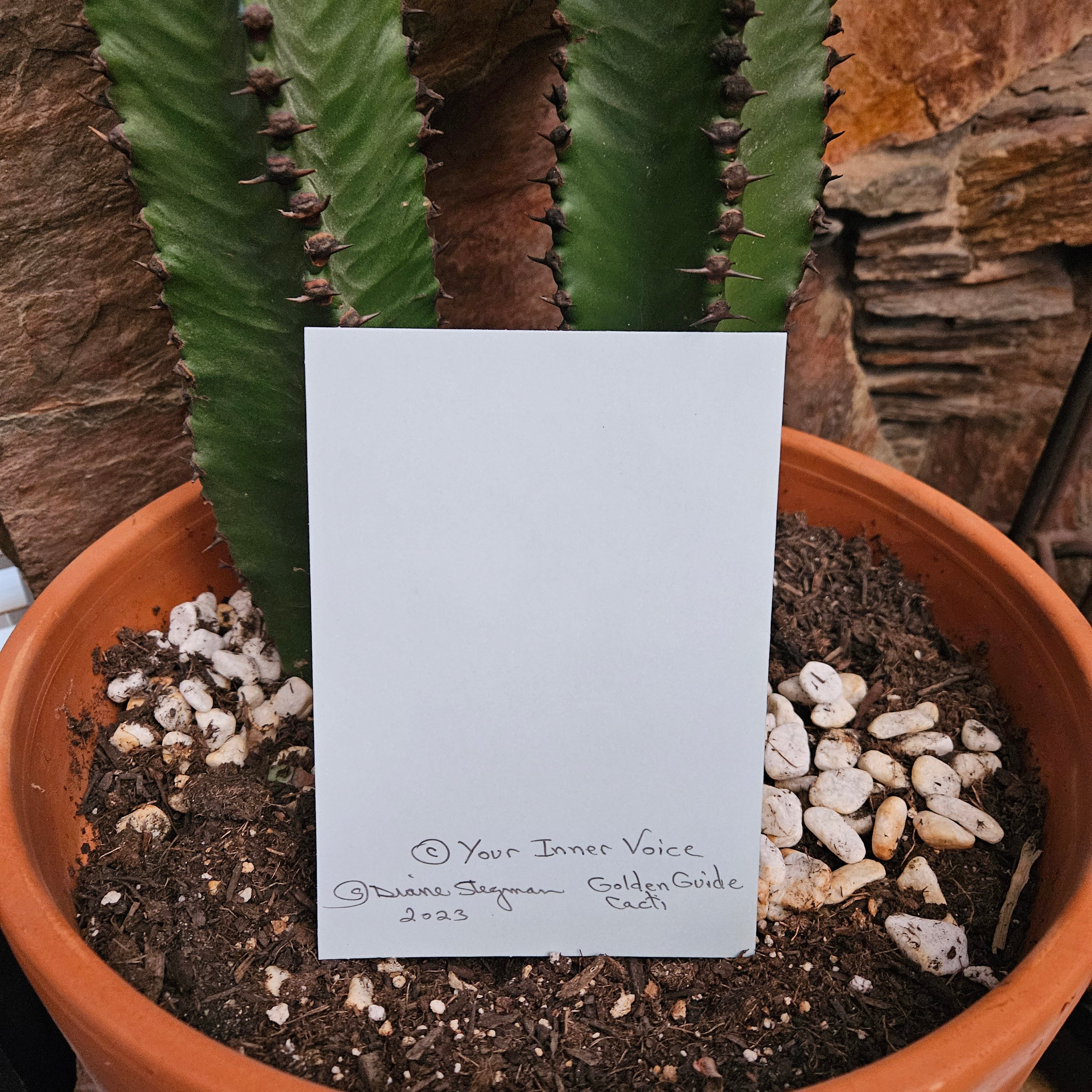 Beautifully Hand Crafted Custom Created Greeting Card Series by Diane Stegman "Pineapple Cactus"