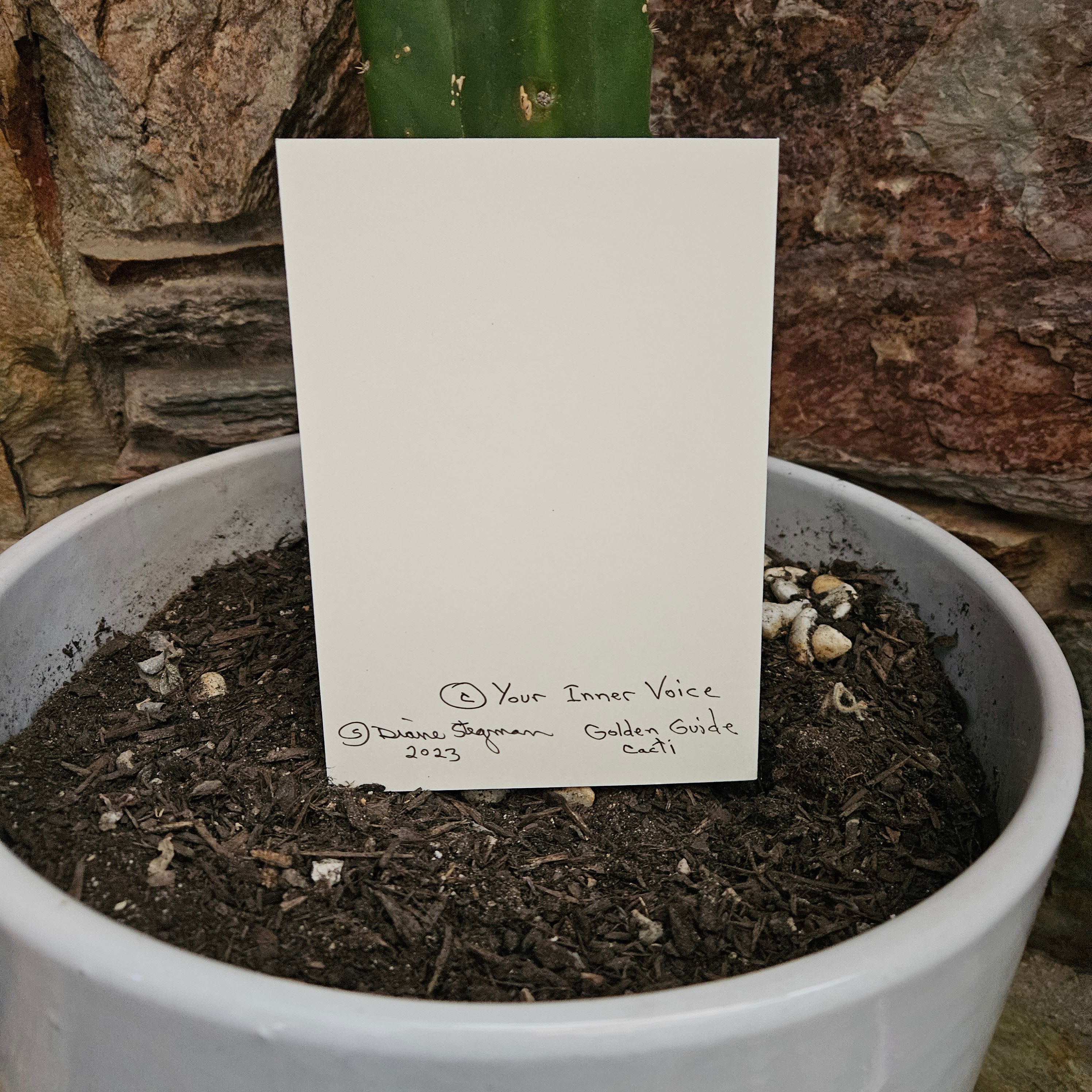 Beautifully Hand Crafted Custom Created Greeting Card Series by Diane Stegman "C. Martinii Flowering Cactus"