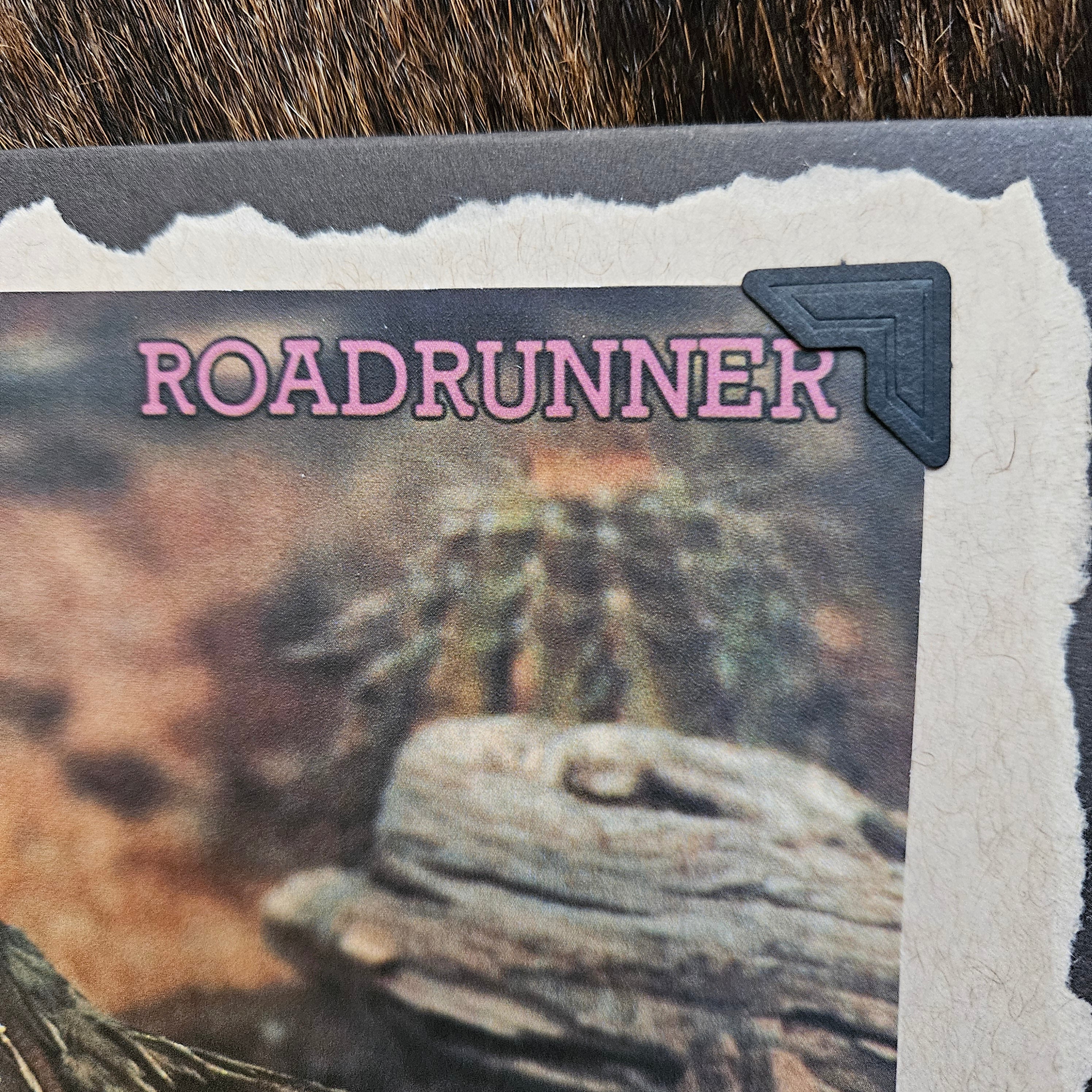 Beautifully Hand Crafted Custom Created Greeting Card Series by Diane Stegman "Roadrunner"