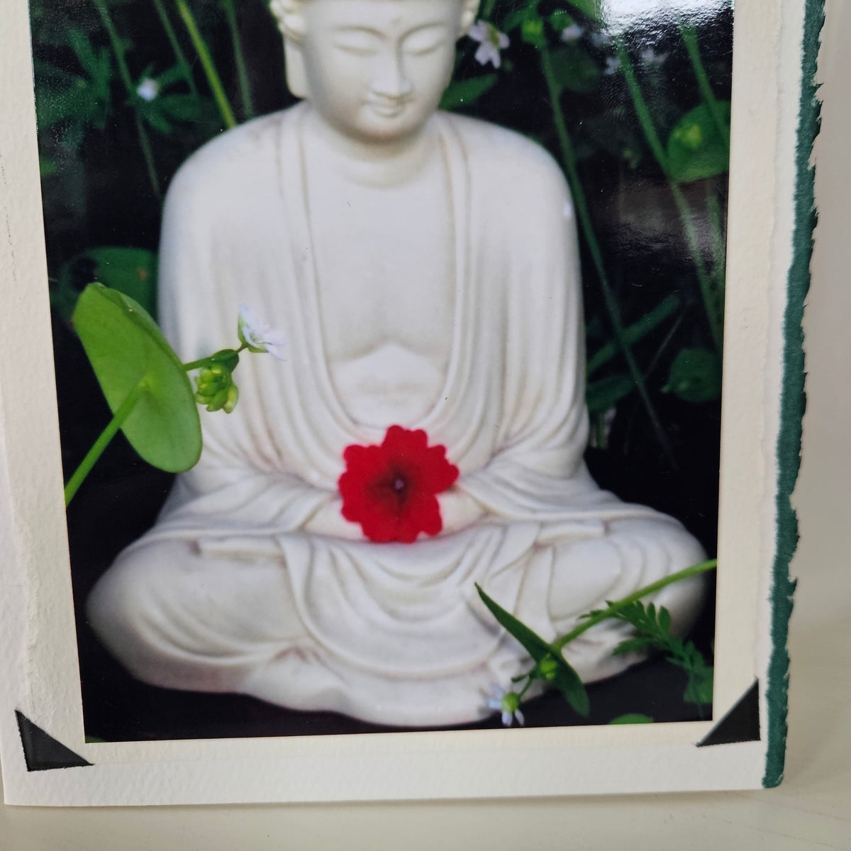 Diane Stegman Handmade Greeting Card – “Buddha” 5x7