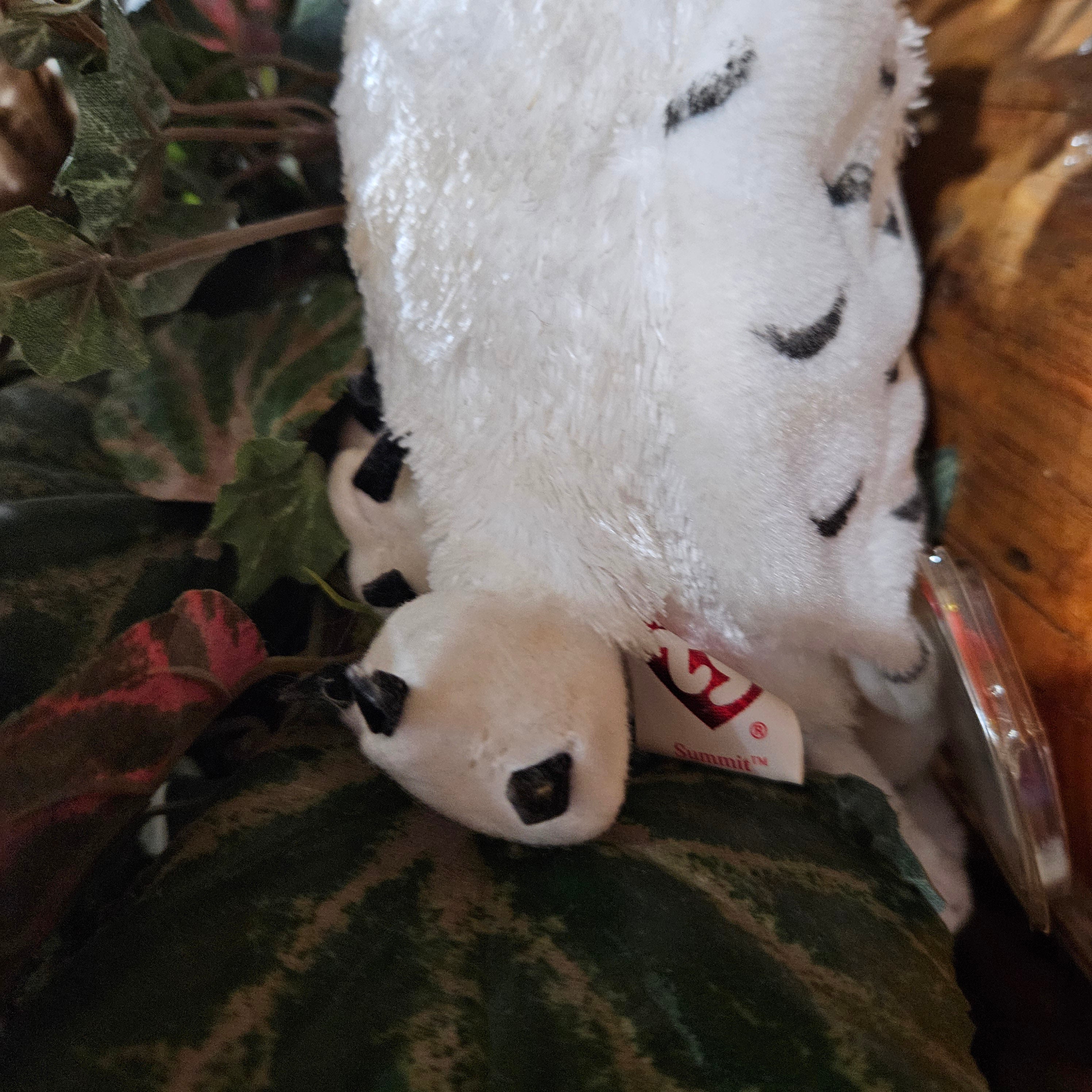 Ty Beanie Babies "Summit the Owl"