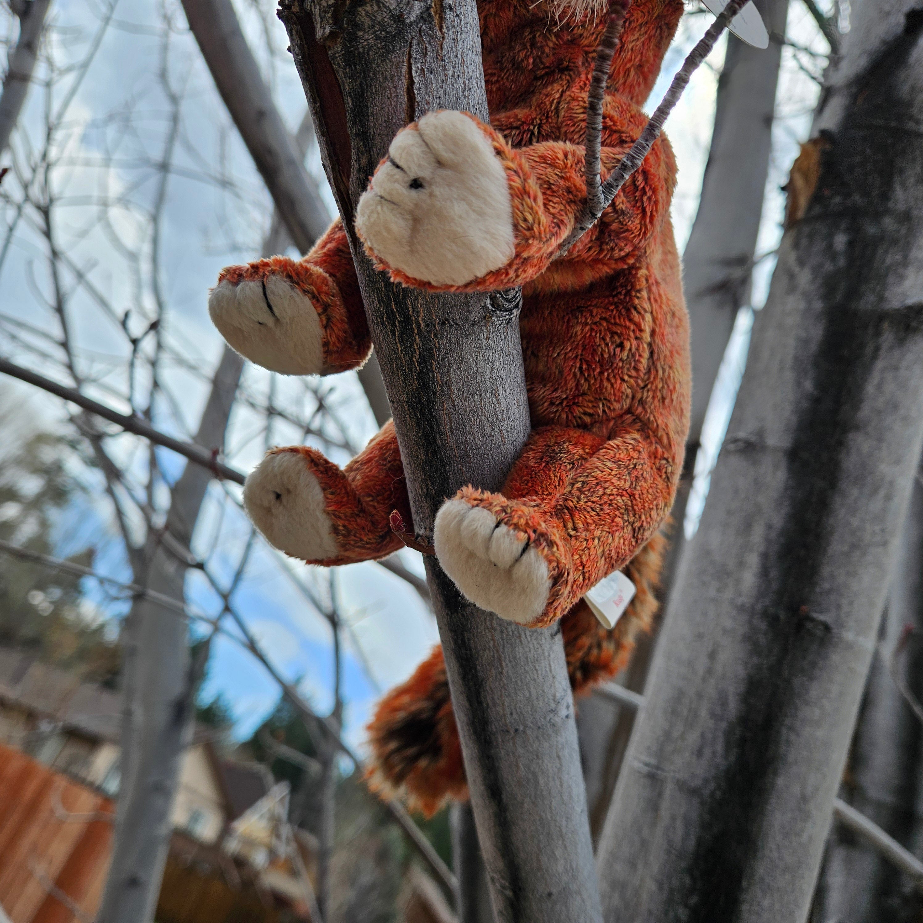 Ty Beanie Babies "Rusty the Red Panda"