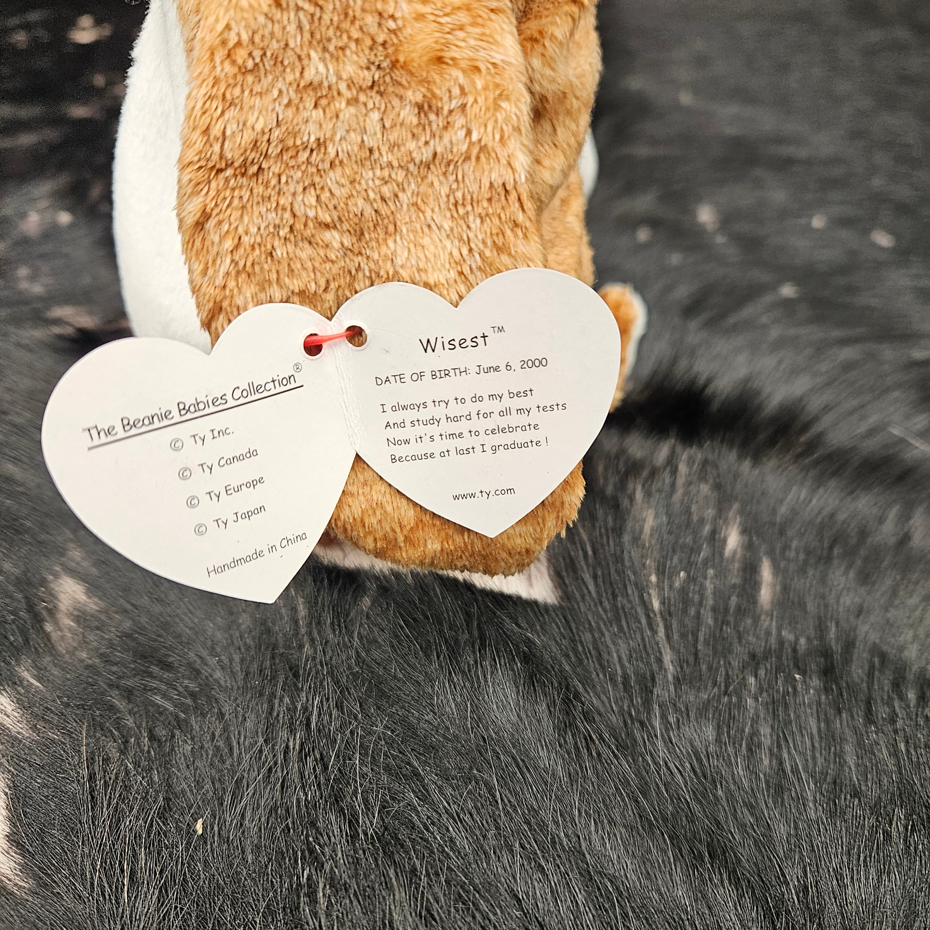 Ty Beanie Babies "Wisest the Owel"