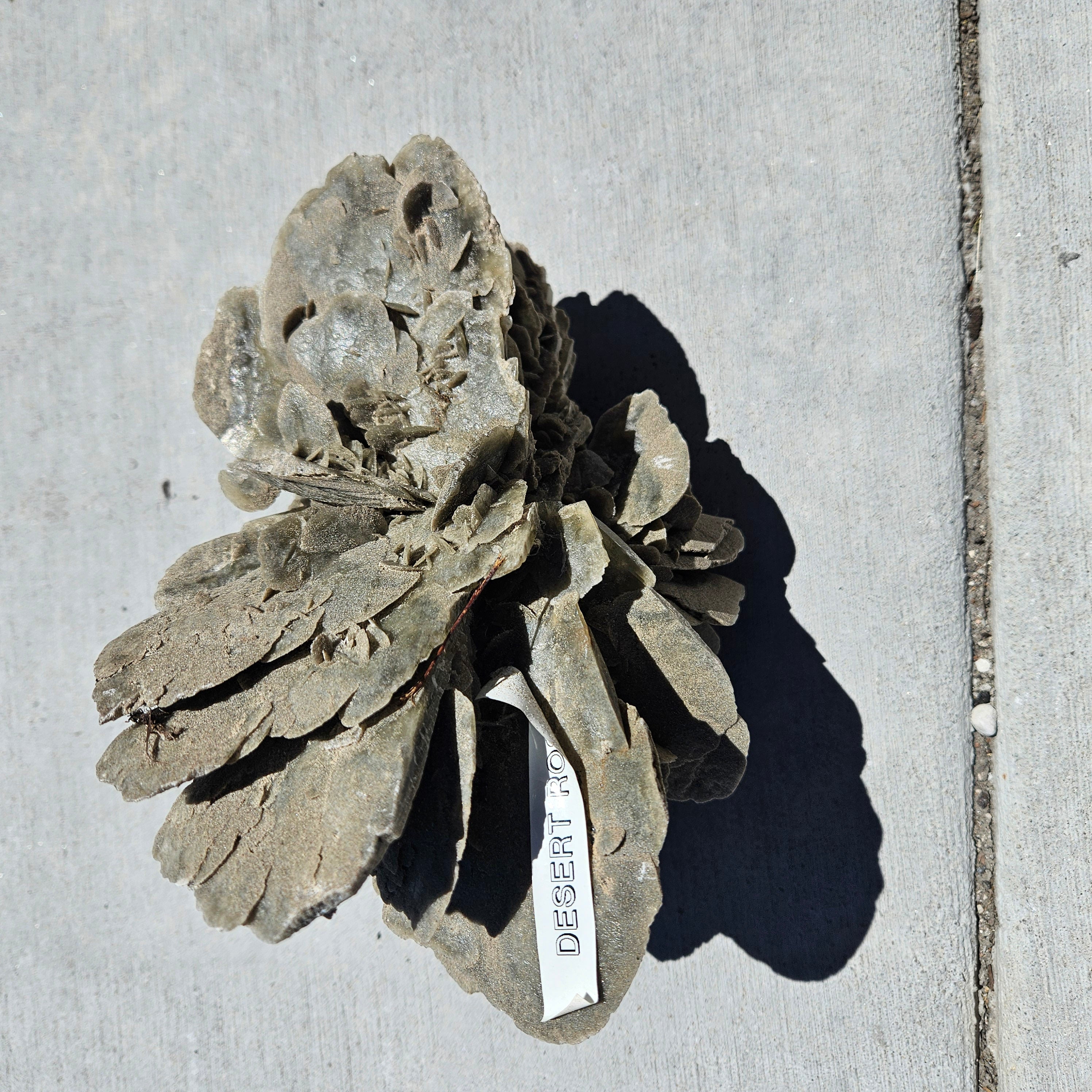 Desert Rose stone Cluster