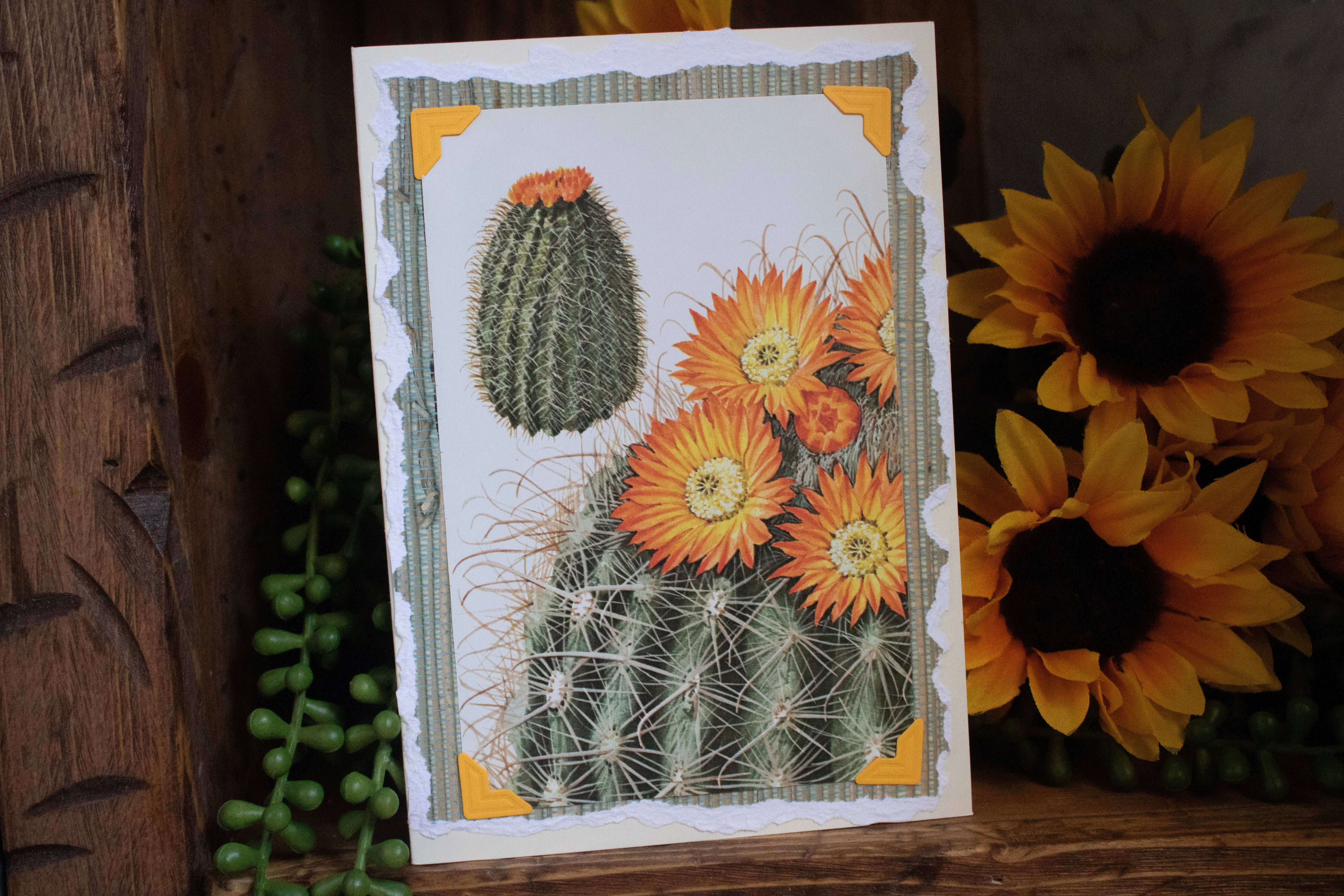 Beautifully Hand Crafted Custom Created Greeting Card Series by Diane Stegman "Barrel Cacti"