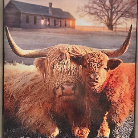 Highland Cow with Calf Framed Wall Art