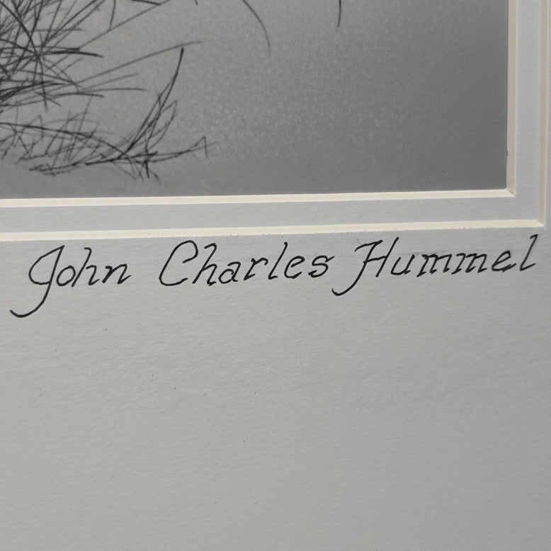 Black & White "Serenity" Photograph by John Charles Hummel in Running Springs 2002