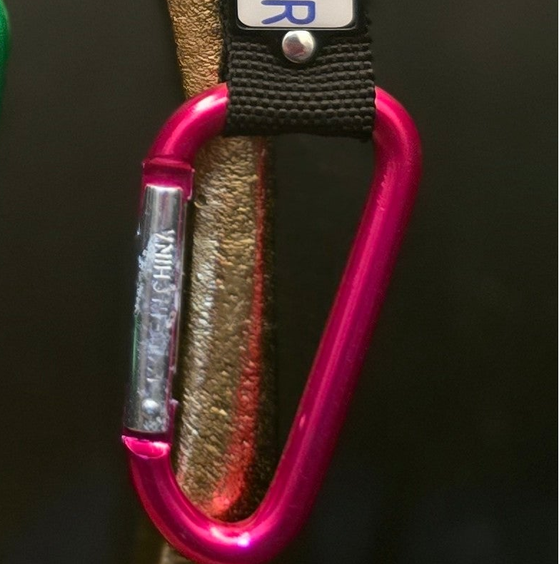 Big Bear California License Plate Compass Carabiner Keychain