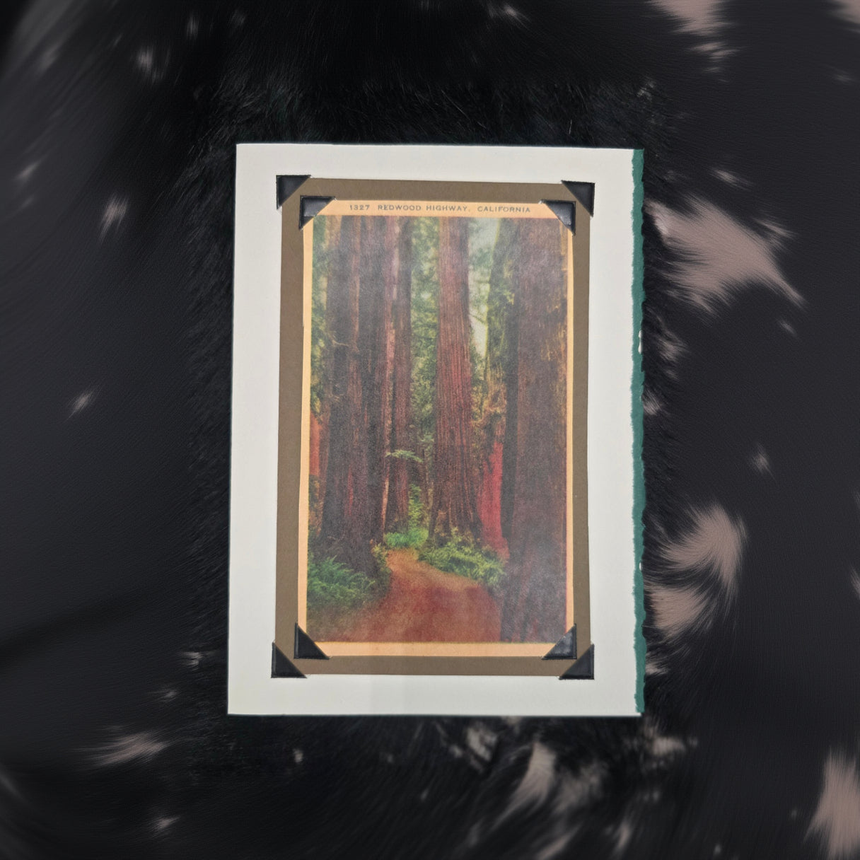 Beautifully Hand Crafted Custom Created Greeting Card Series by Diane Stegman "Redwood Highway, California"