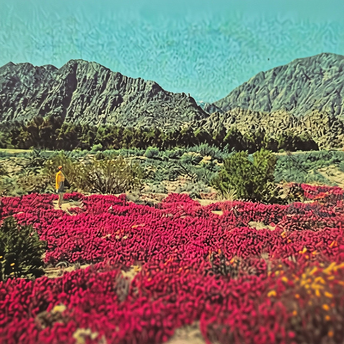 Beautifully Hand Crafted Custom Created Greeting Card Series by Diane Stegman "Desert Wildflowers"