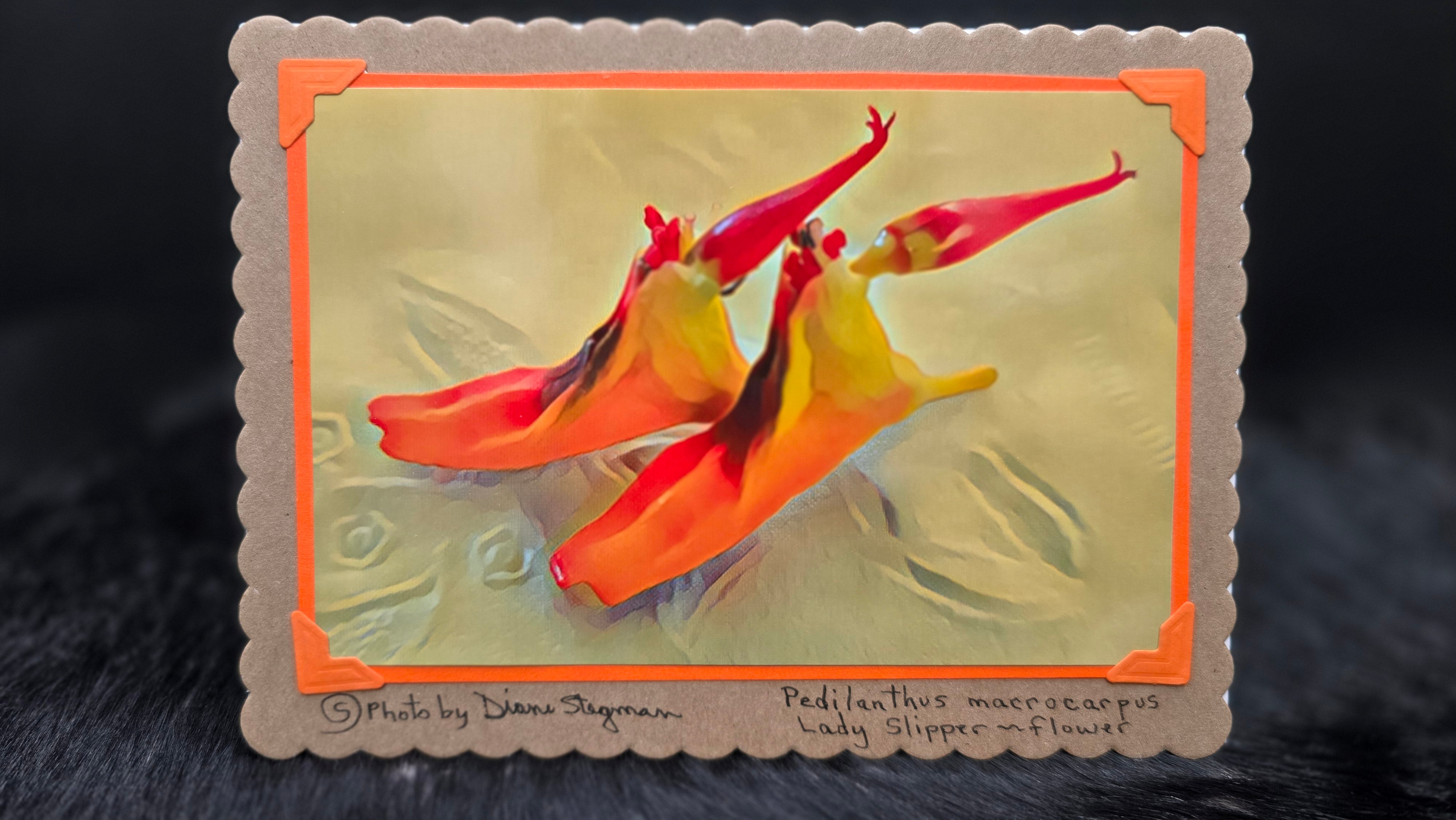 Beautifully Hand Crafted Custom Created Greeting Card Series by Diane Stegman "Lady Slipper Flower"