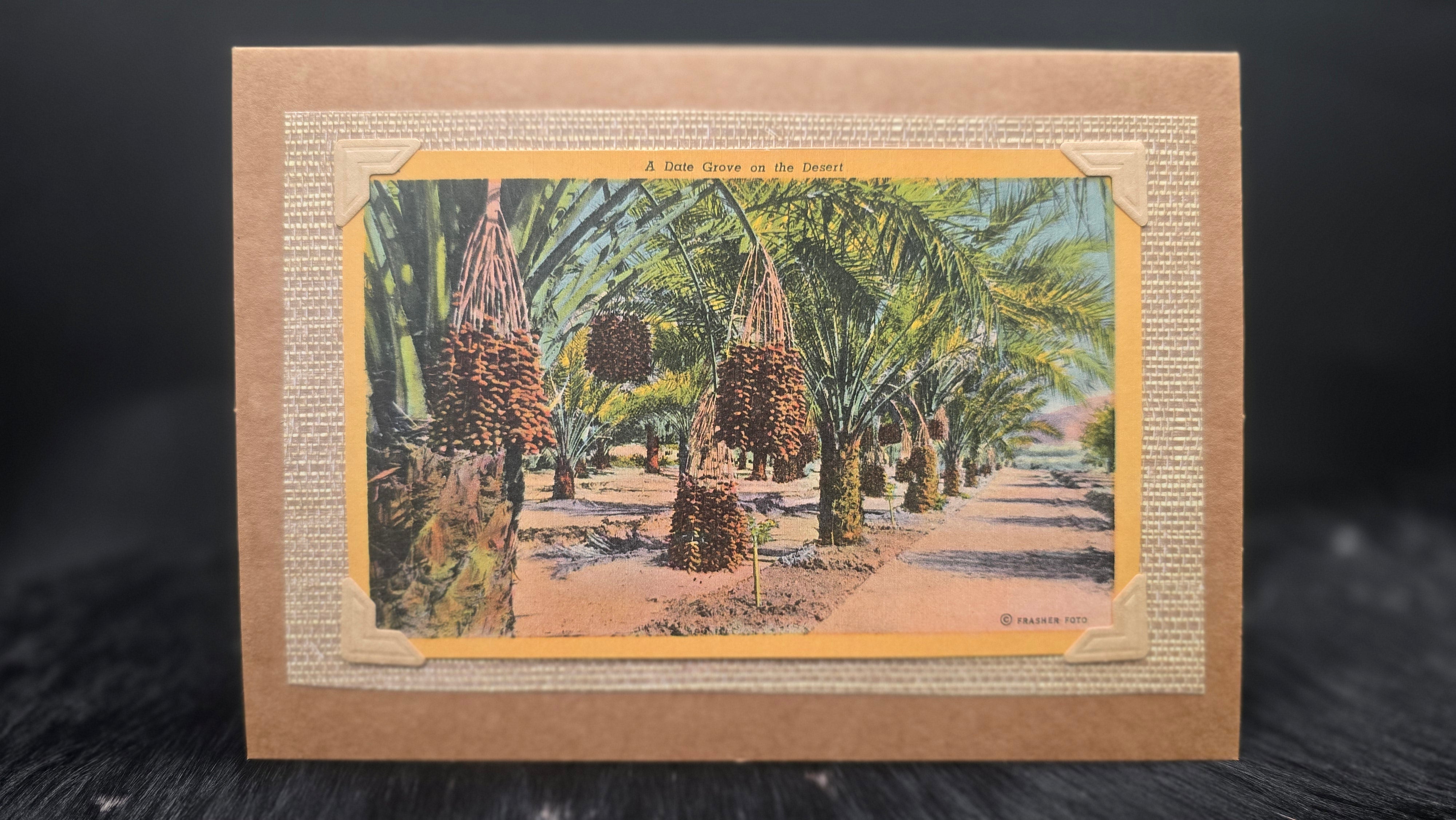 Beautifully Hand Crafted Custom Created Greeting Card Series by Diane Stegman "A Date Grove in the Desert "