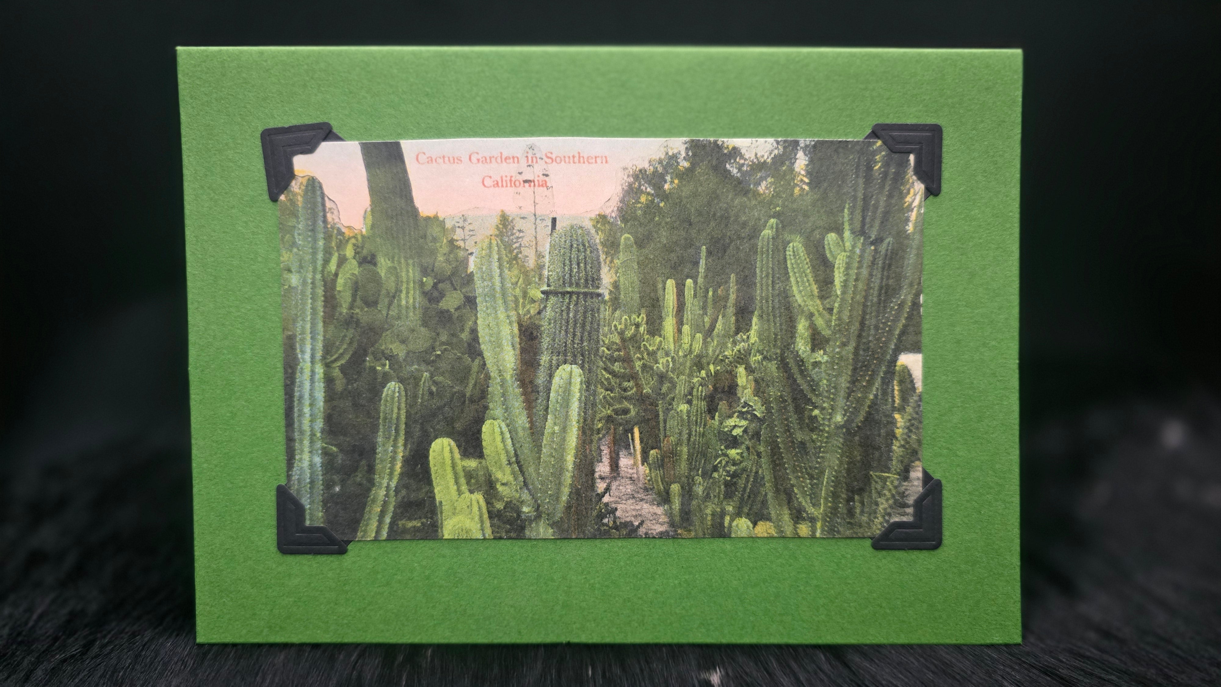 Beautifully Hand Crafted Custom Created Greeting Card Series by Diane Stegman "Cactus Garden in Southern California"