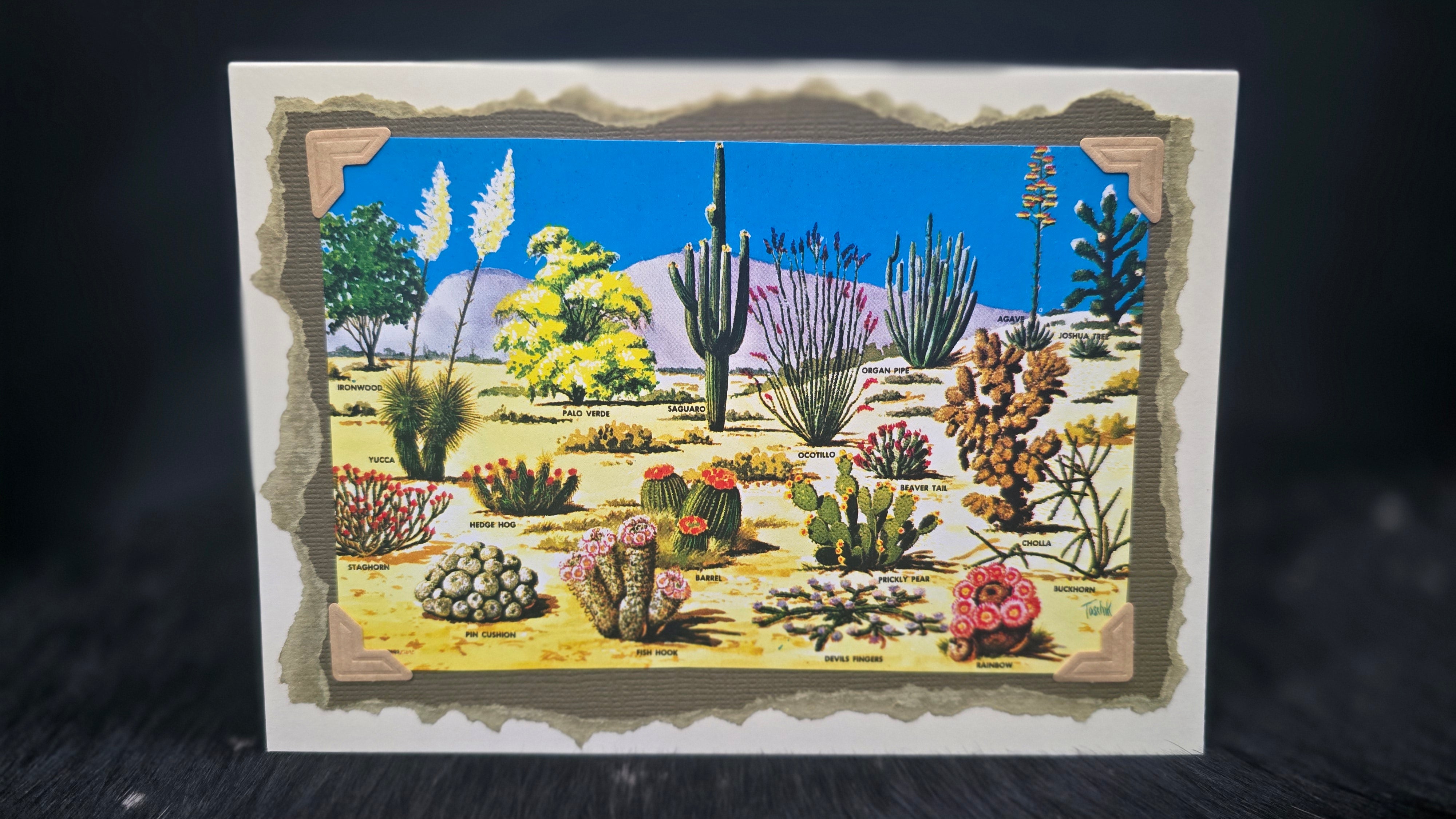 Beautifully Hand Crafted Custom Created Greeting Card Series by Diane Stegman "Cactus Identification"