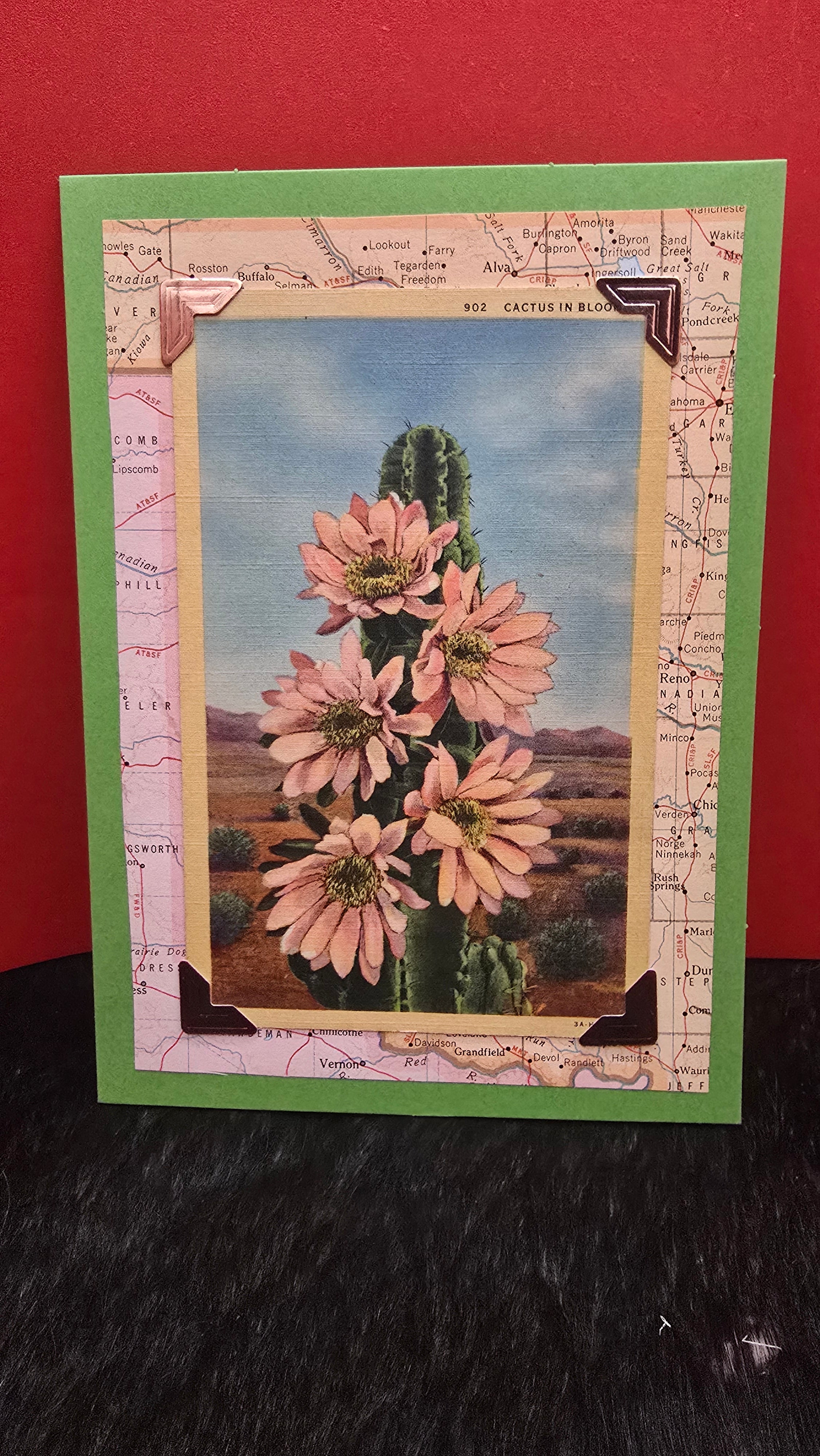 Beautifully Hand Crafted Custom Created Greeting Card Series by Diane Stegman "Cactus in Bloom"