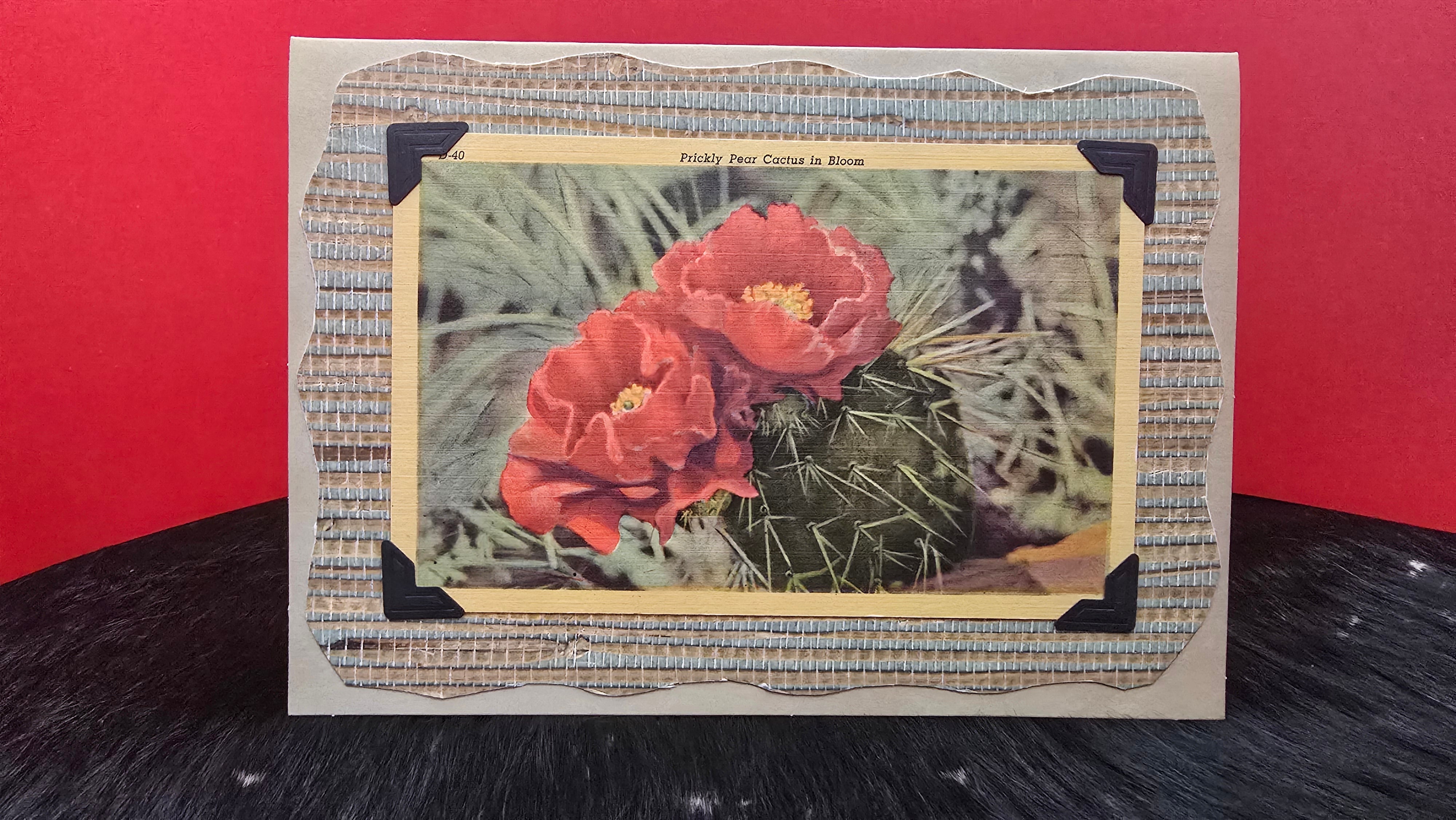 Beautifully Hand Crafted Custom Created Greeting Card Series by Diane Stegman "Prickly Pear Cactus in Bloom"