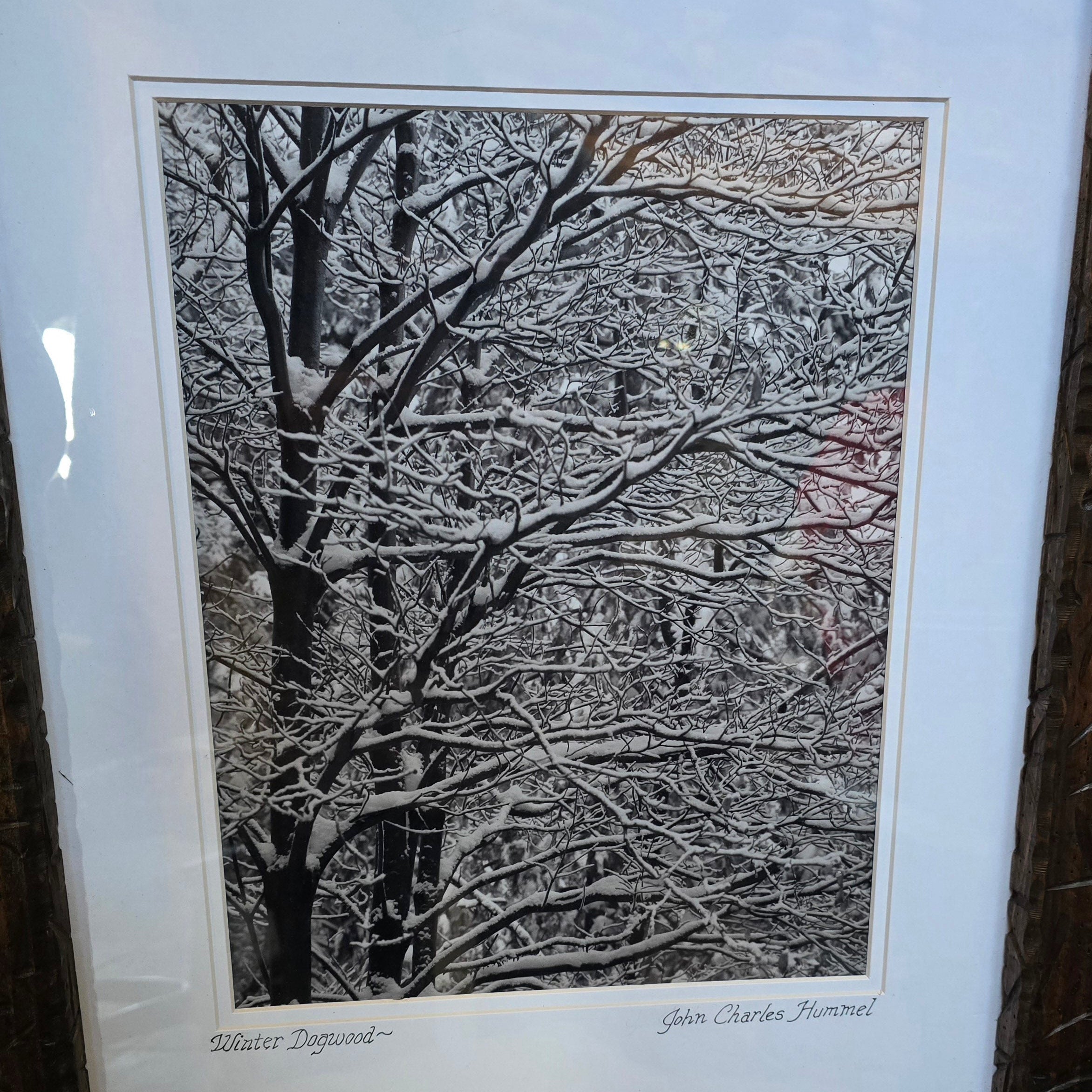 signed Winter Dogwood black and white framed photograph by JHummelPhotographics featuring frost covered trees in Lake Arrowhead California with rustic carved wood frame