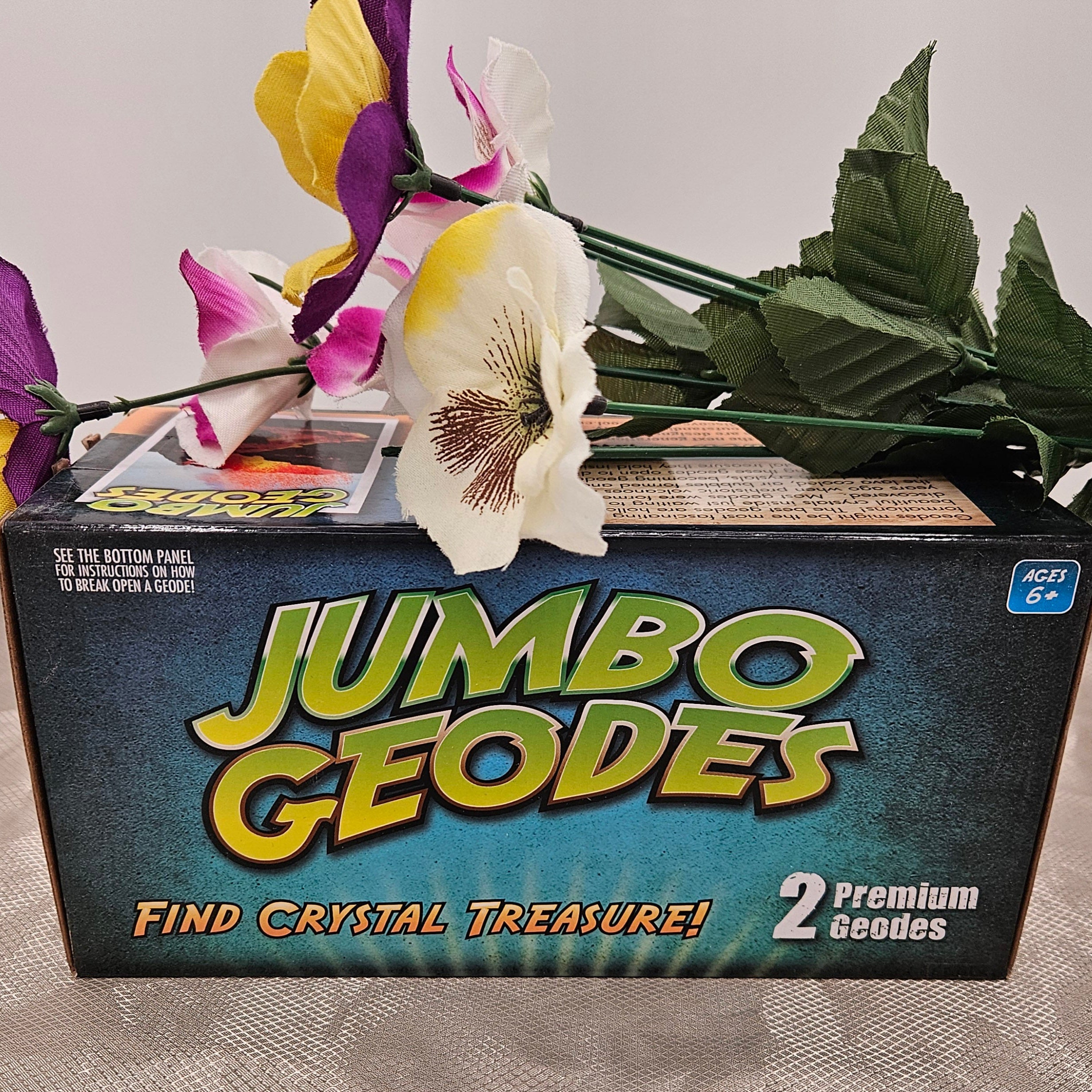 Jumbo Geodes Find Crystal Treasure. 2 Premium Geodes
