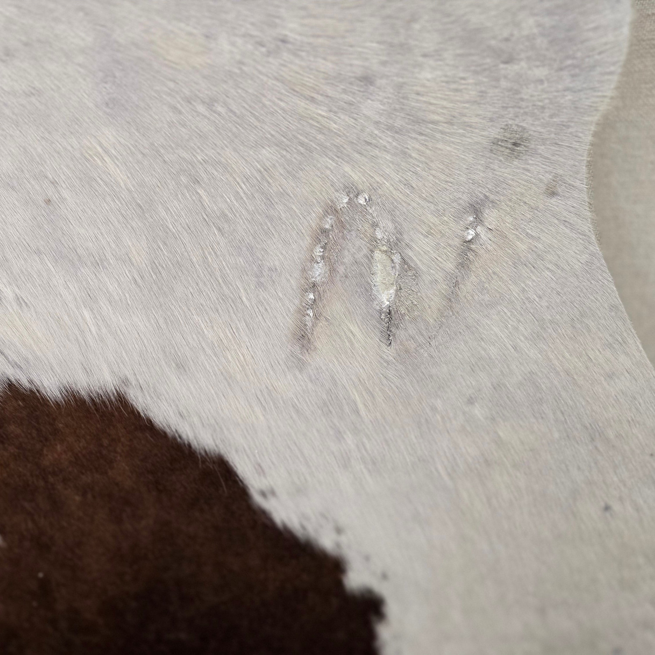 Authentic Brown and White Cowhide Handmade in Brazil