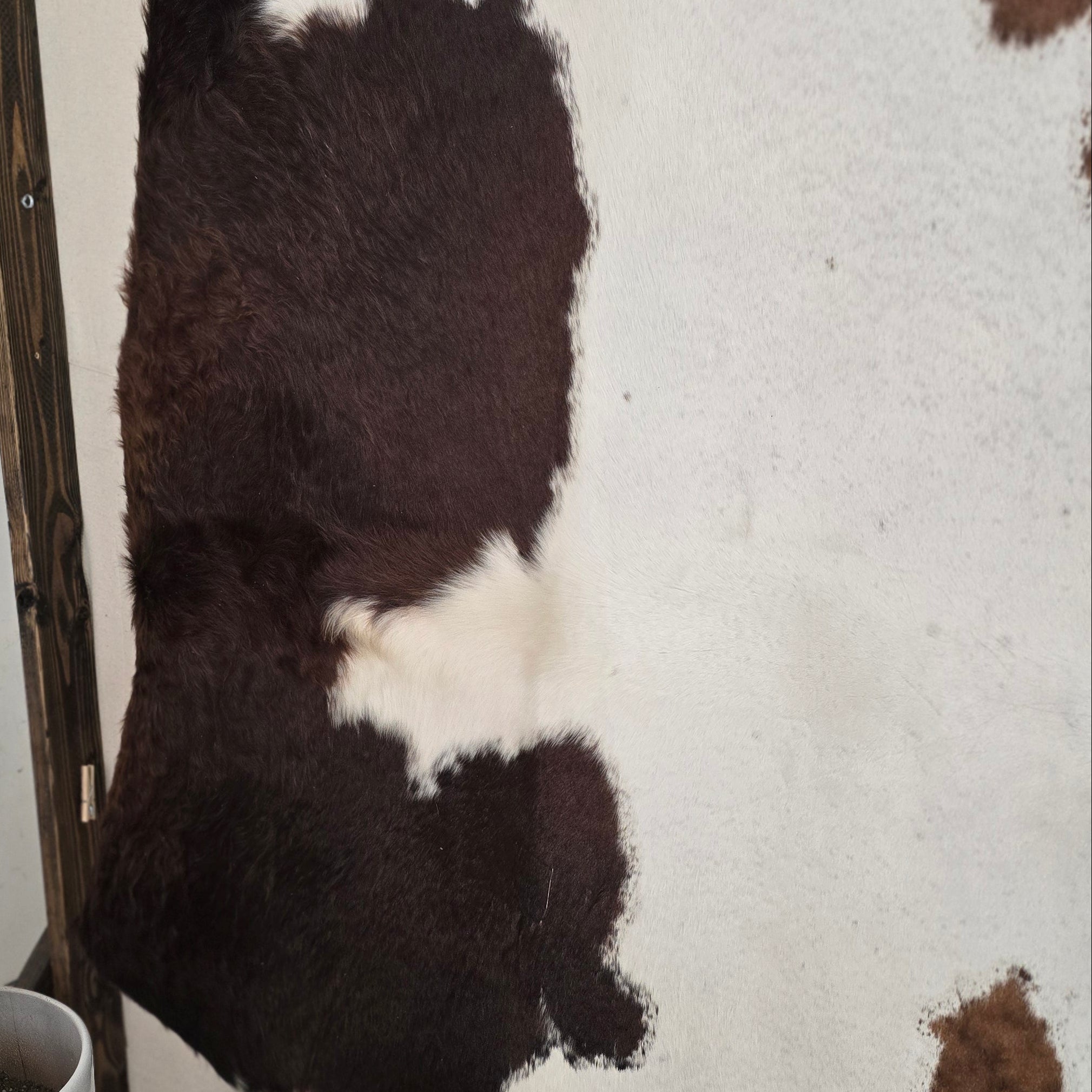Authentic Brown and White Cowhide Handmade in Brazil