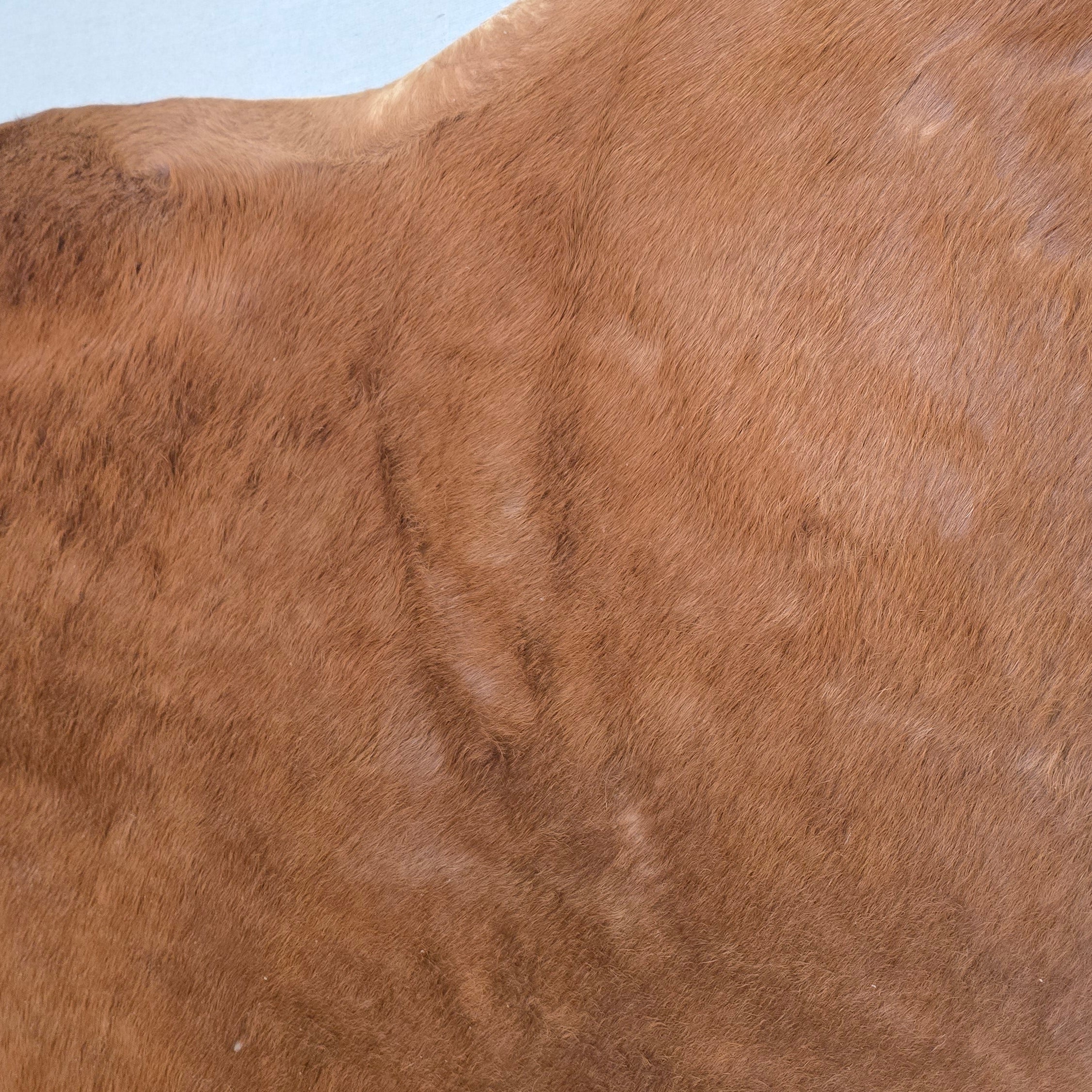 Reliable Brown Cowhide Handmade in Brazil